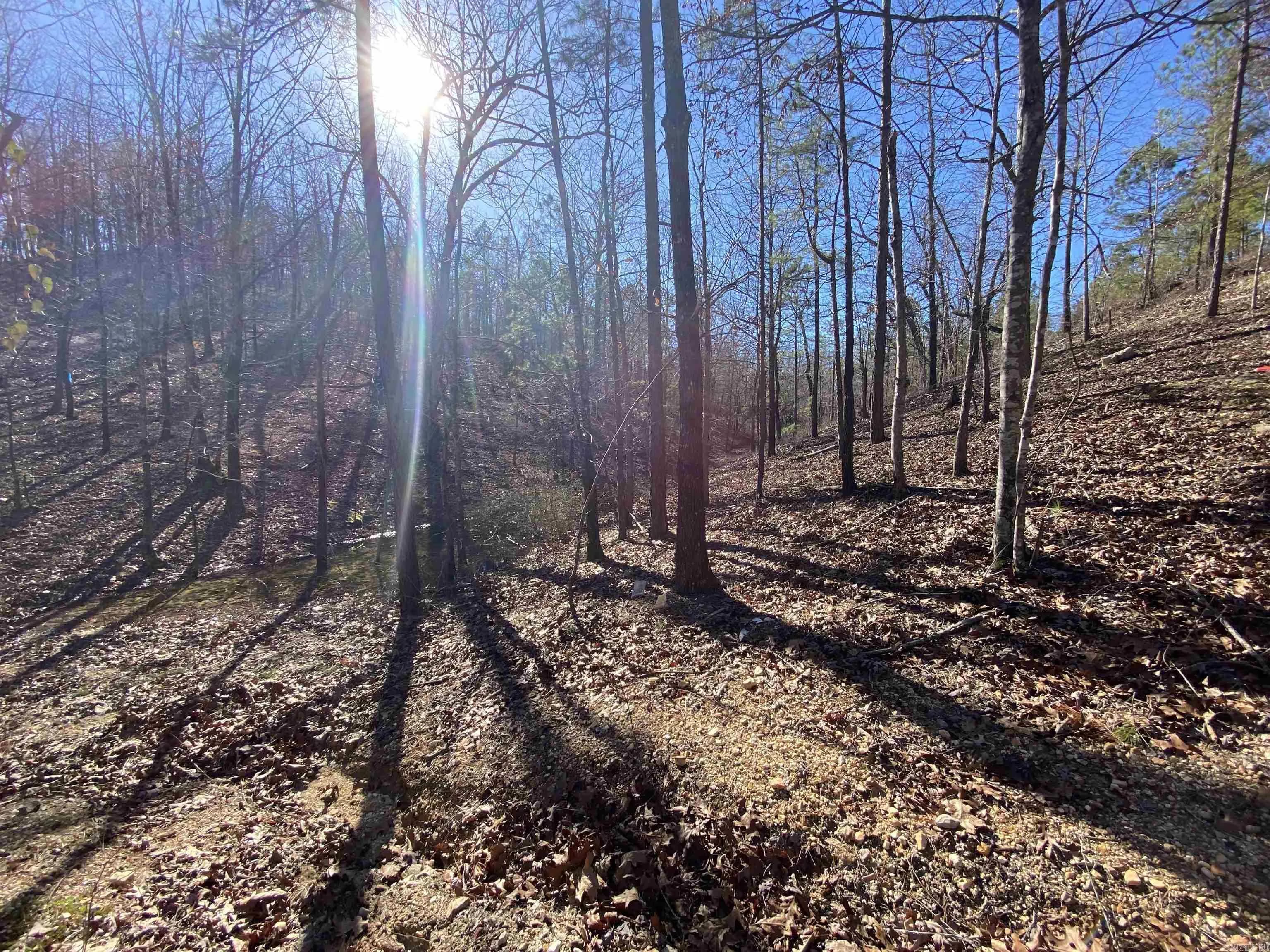 Property at RPID 115120  Cedar creek - Image 34