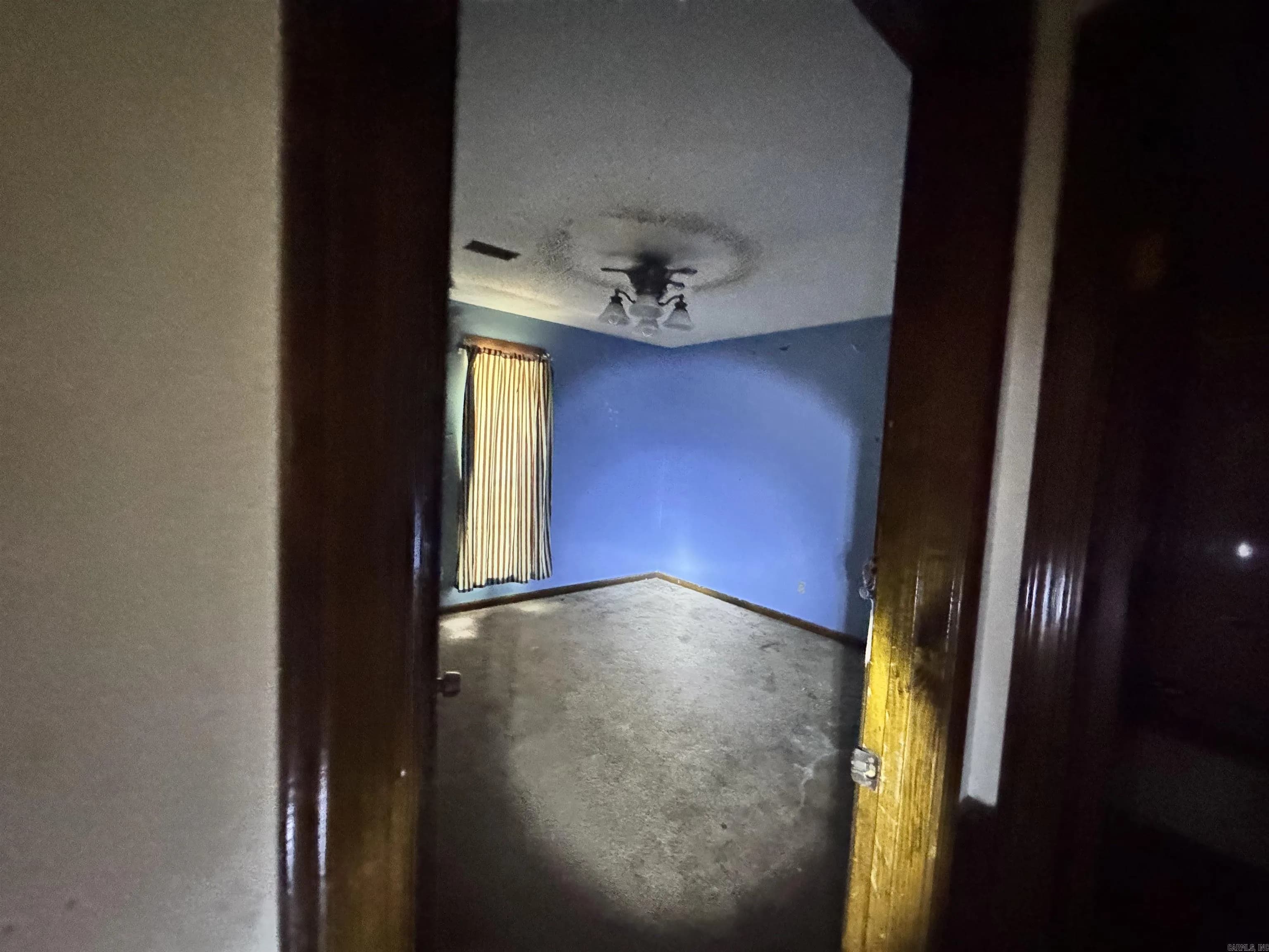 Property at 2017  Carmichael - Image 18