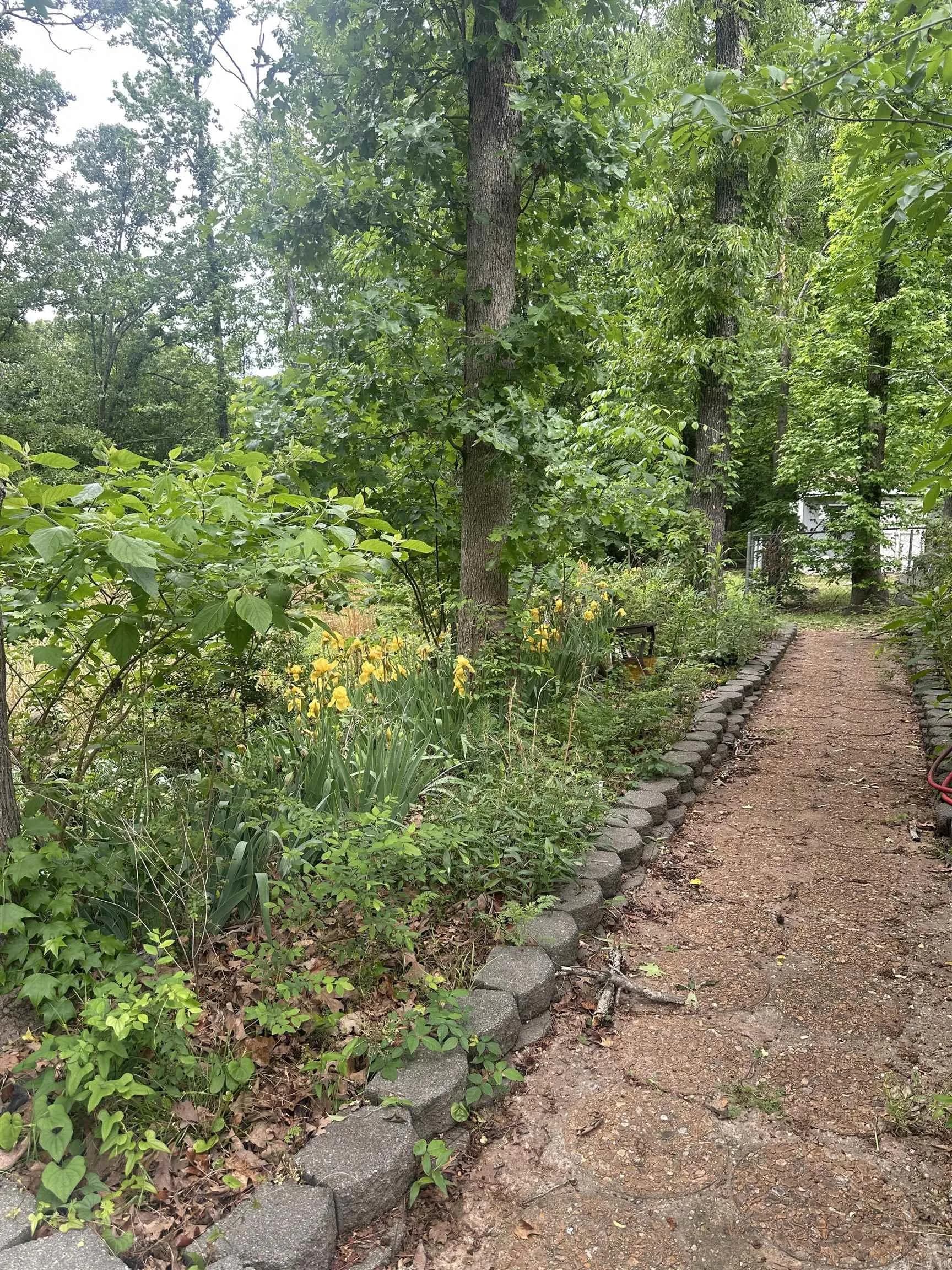 Property at 1808  Royal oaks dr - Image 41