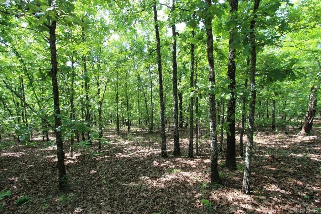 Property at 74  7 lakes ranch blvd - Image 9