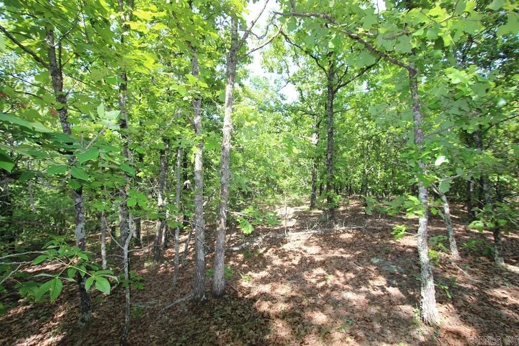 Property at 10  Sierra sunset cove - Image 14