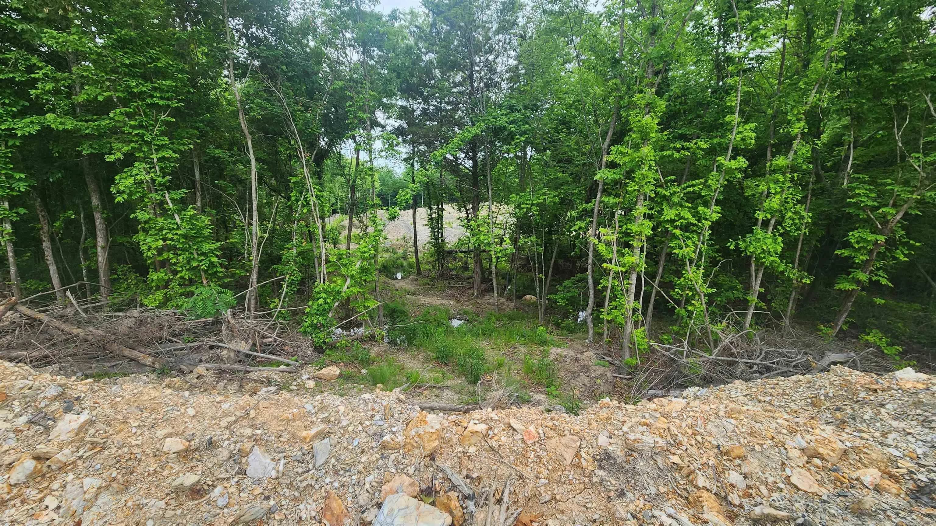 Property at 515  Ryan road - Image 27