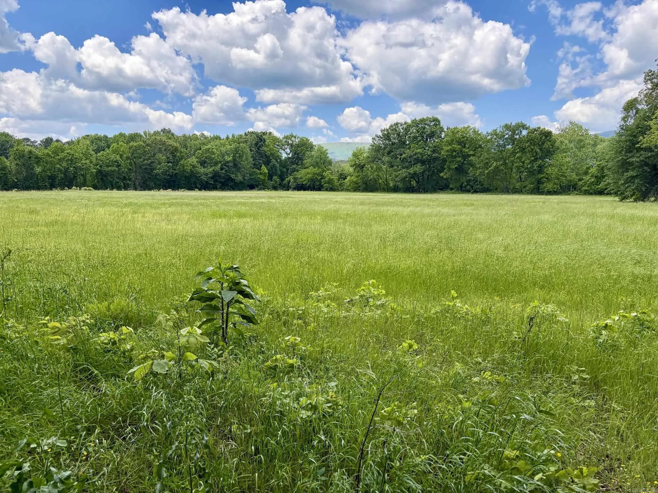 Property at 000  Hwy 309 - Image 15