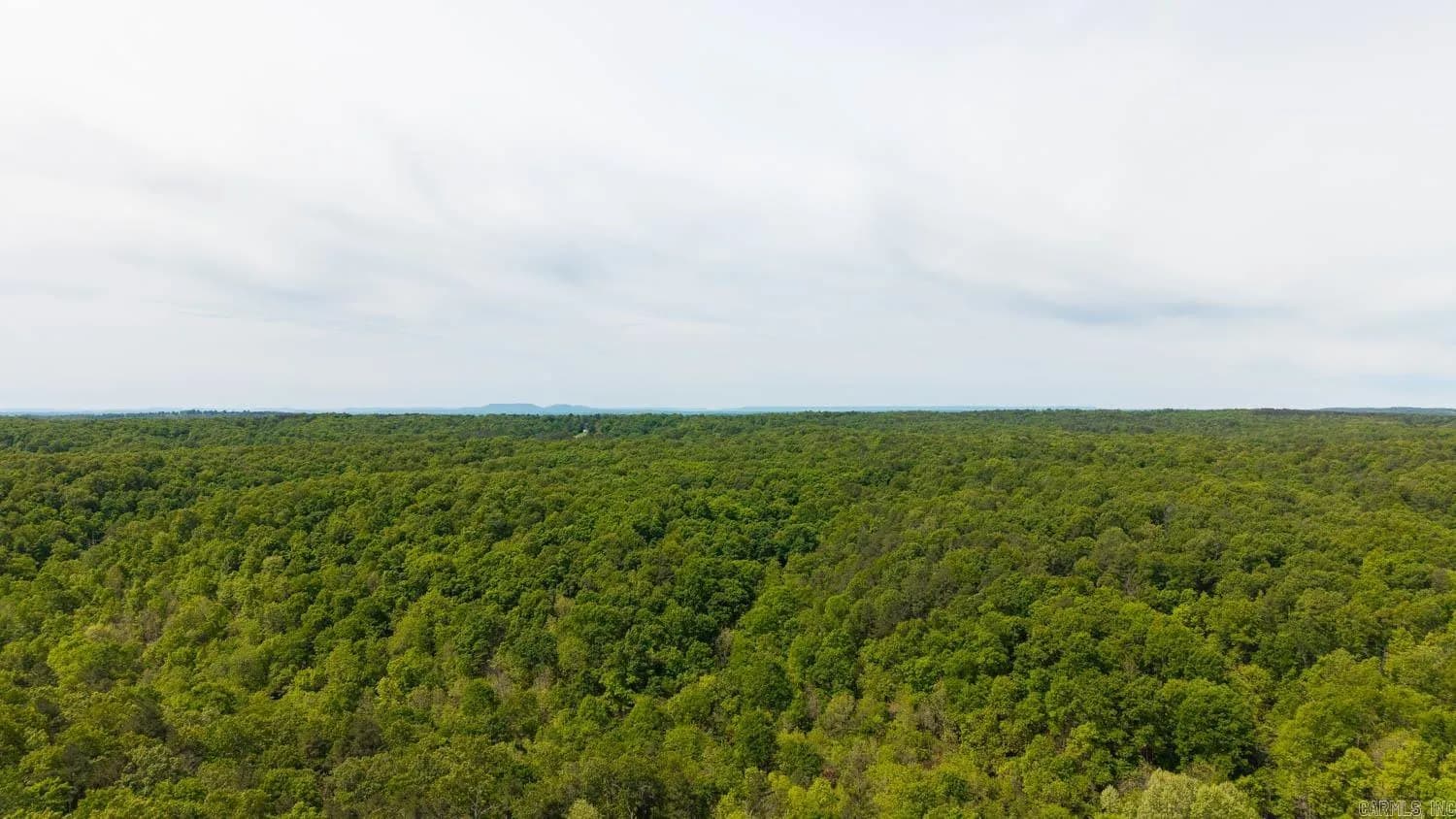 Property at 1163-1071  Fee hollow - Image 8