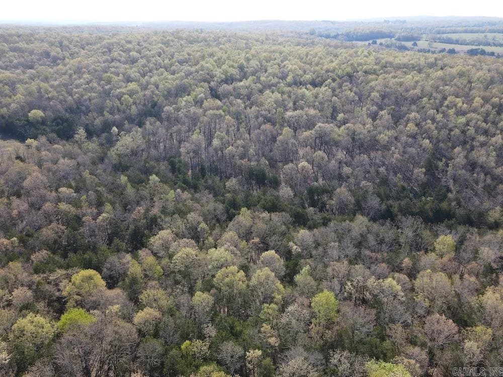 Property at North camp creek rd - Image 19