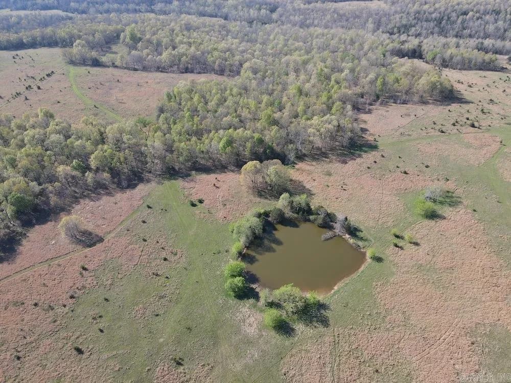 Property at North camp creek rd - Image 14