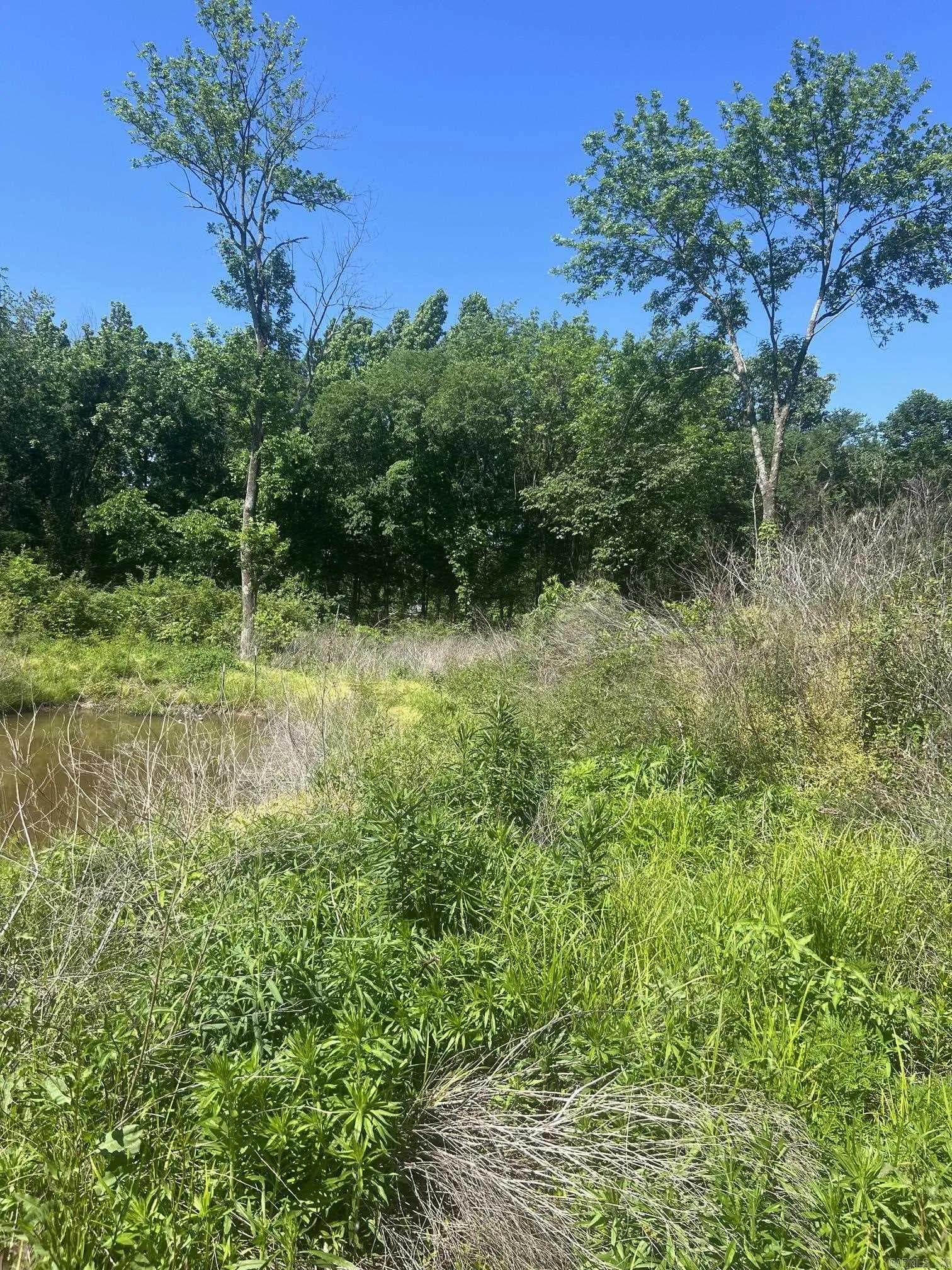 Property at 16  Caney meadows dr - Image 6
