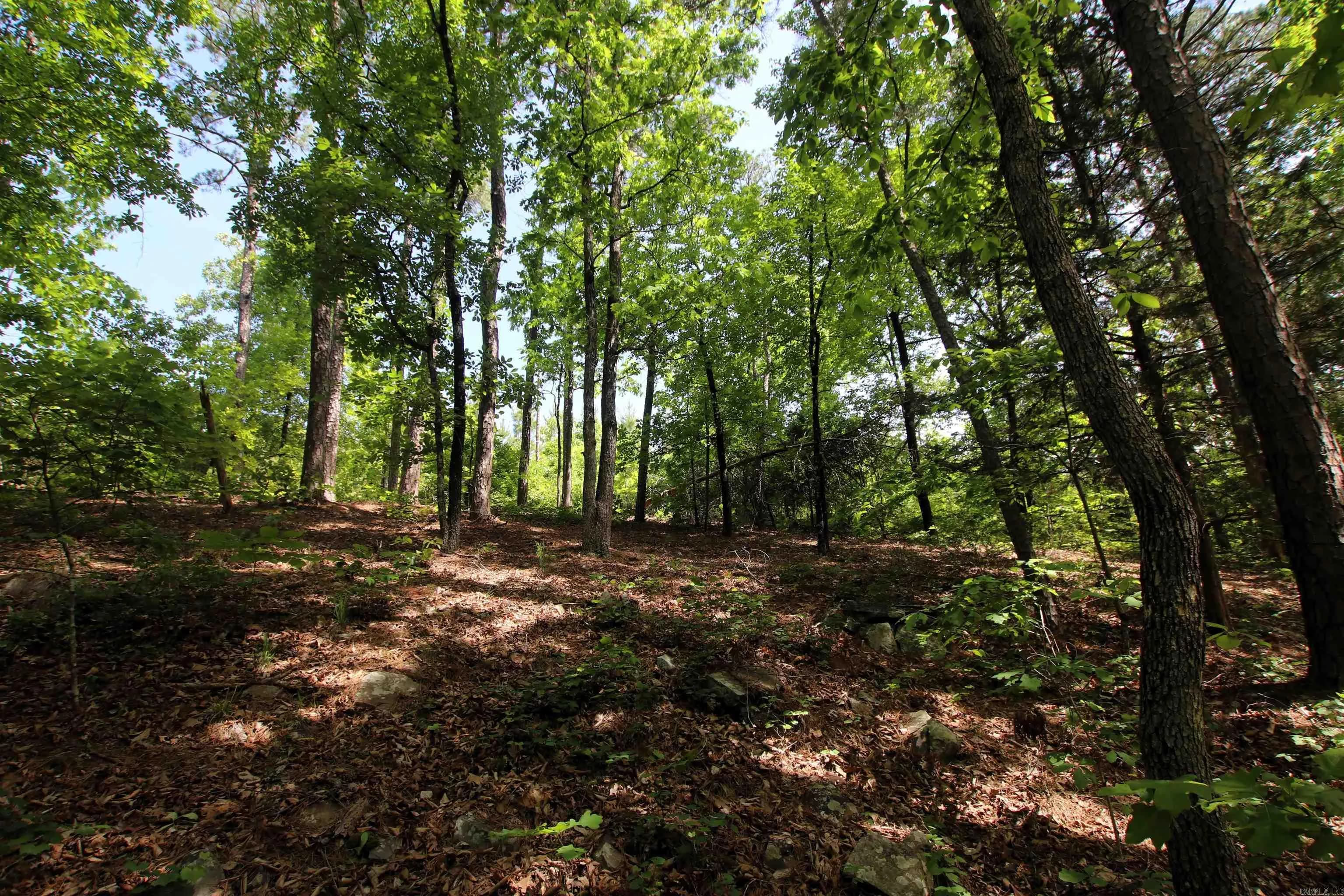 Property at 000  Baylor house - Image 15