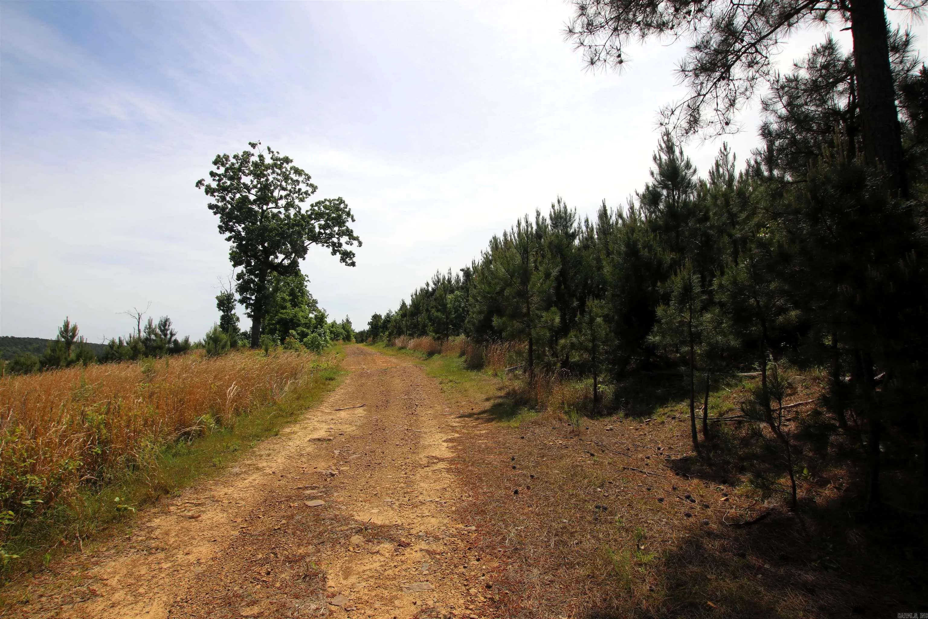 Property at 000  Baylor house - Image 30