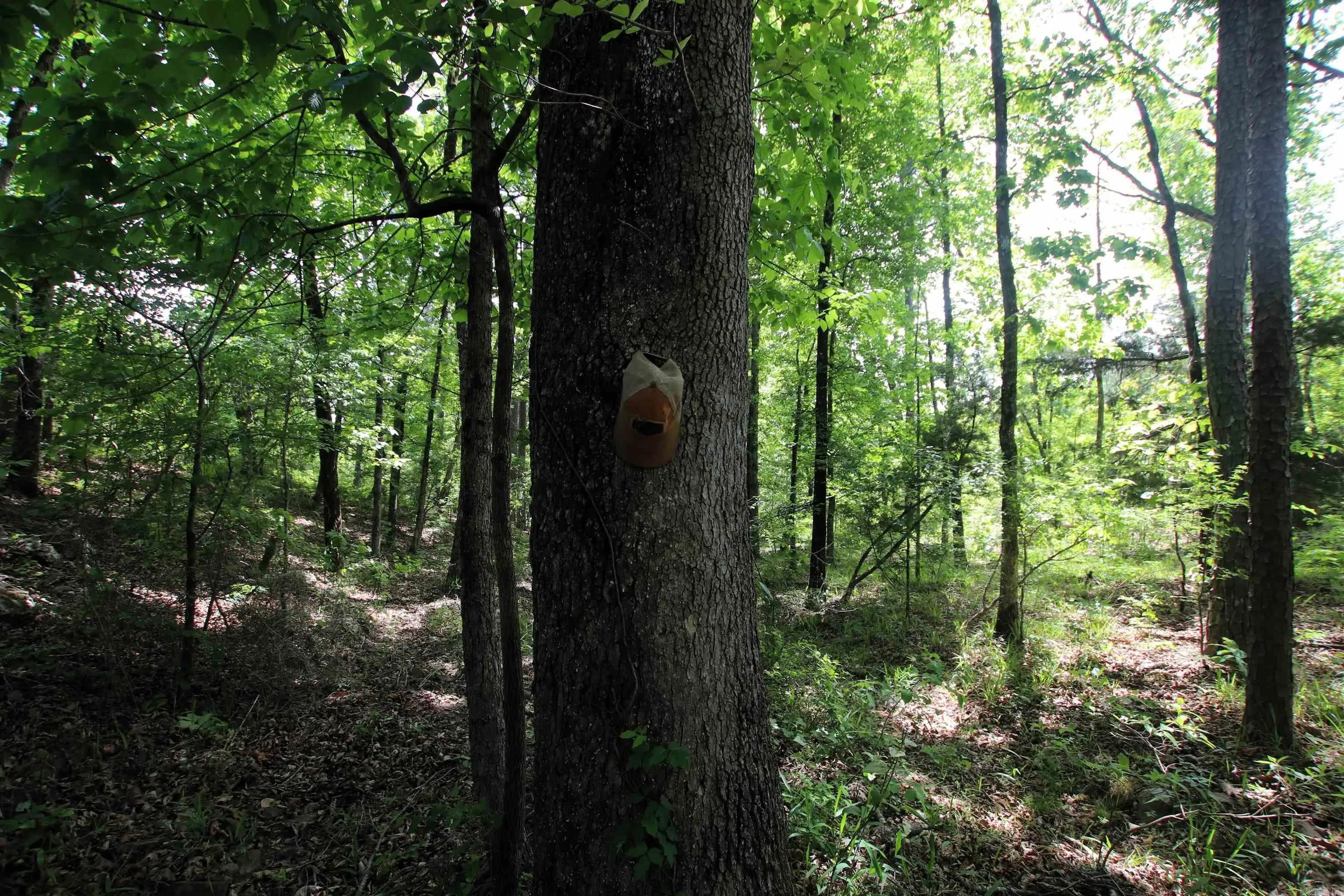 Property at 000  Baylor house - Image 10