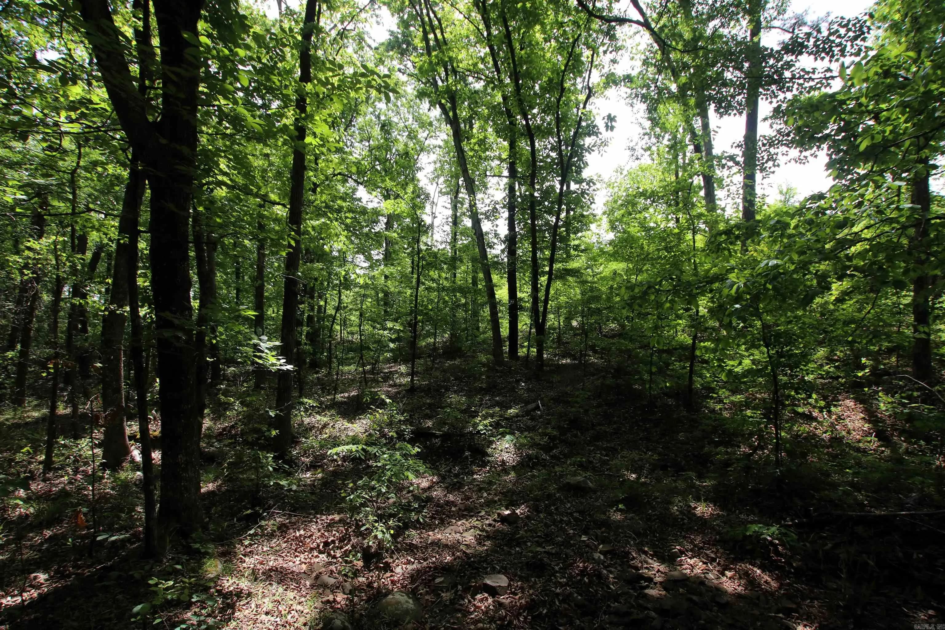 Property at 000  Baylor house - Image 19