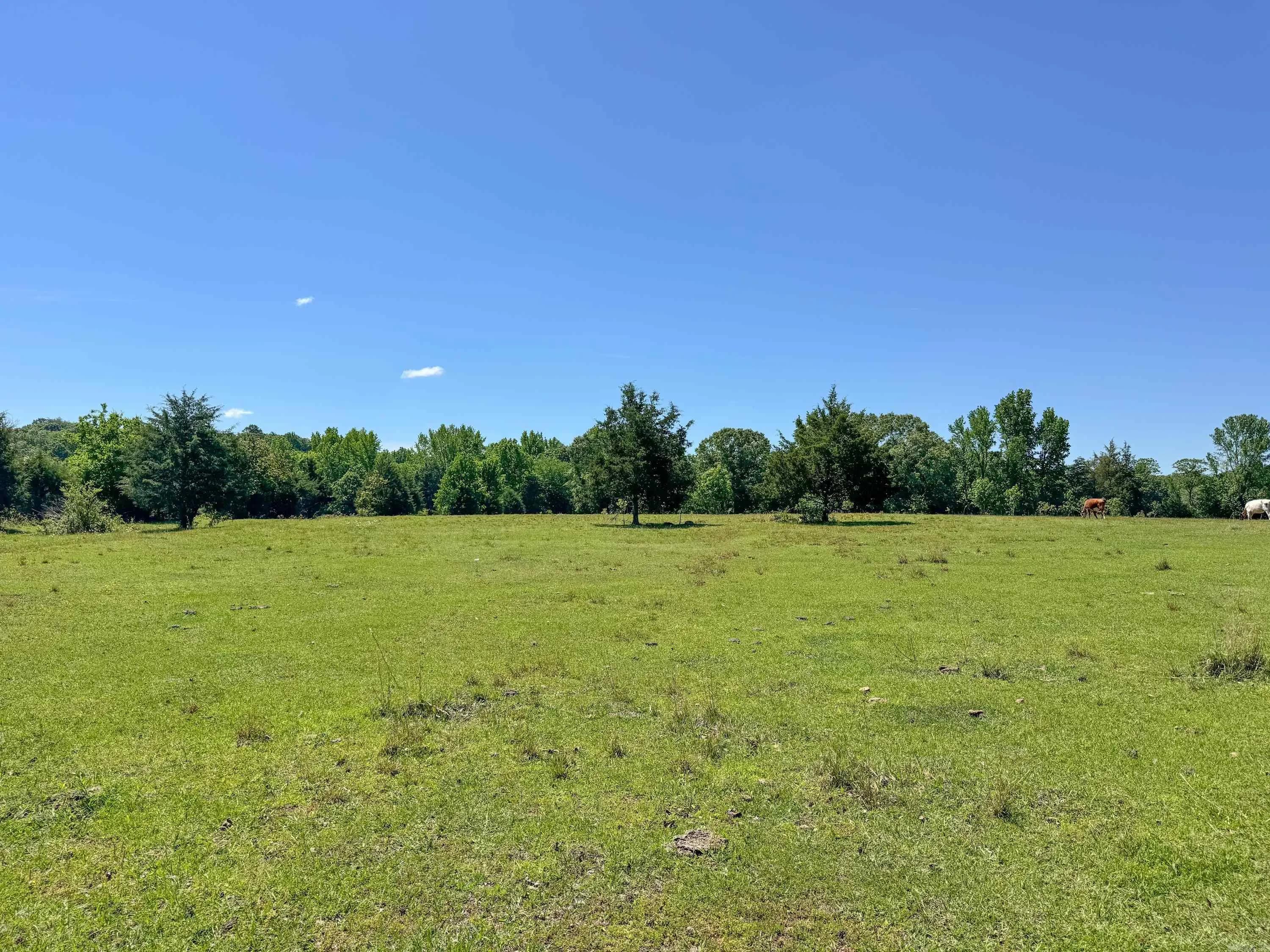 Property at 82  Herring - Image 3