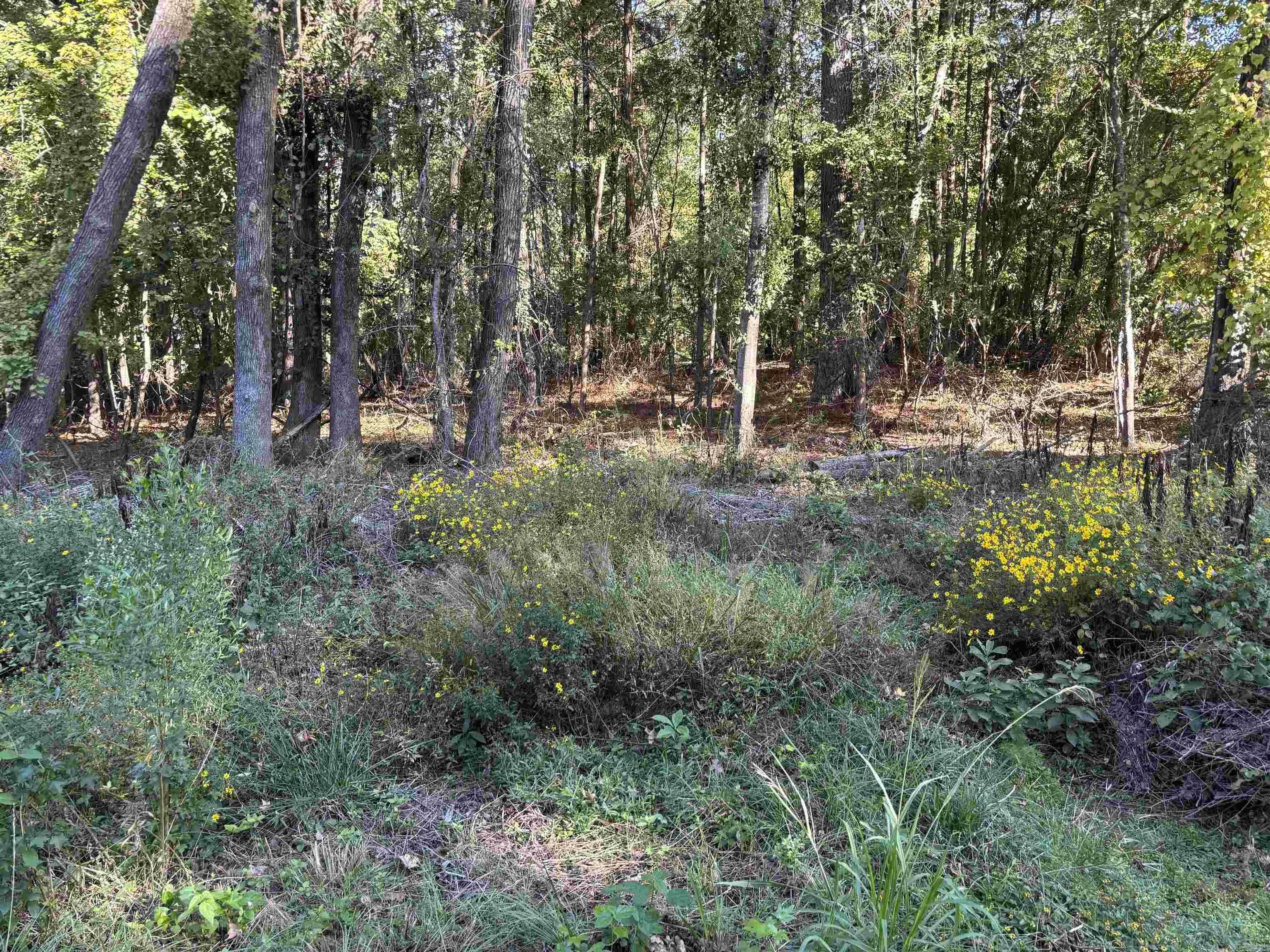 Property at 0  Gary lane - Image 2