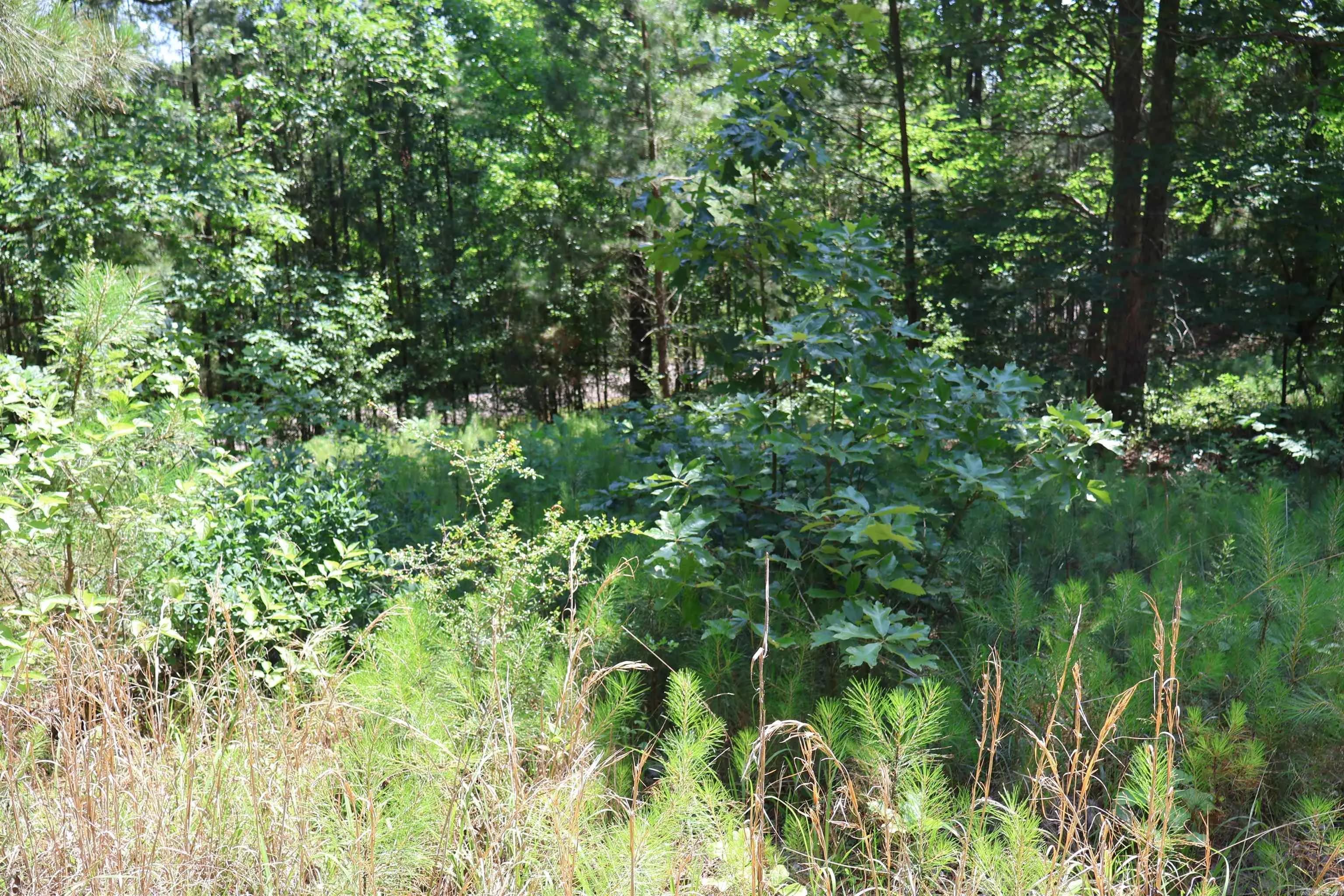 Property at TBD  Heather ridge - Image 4