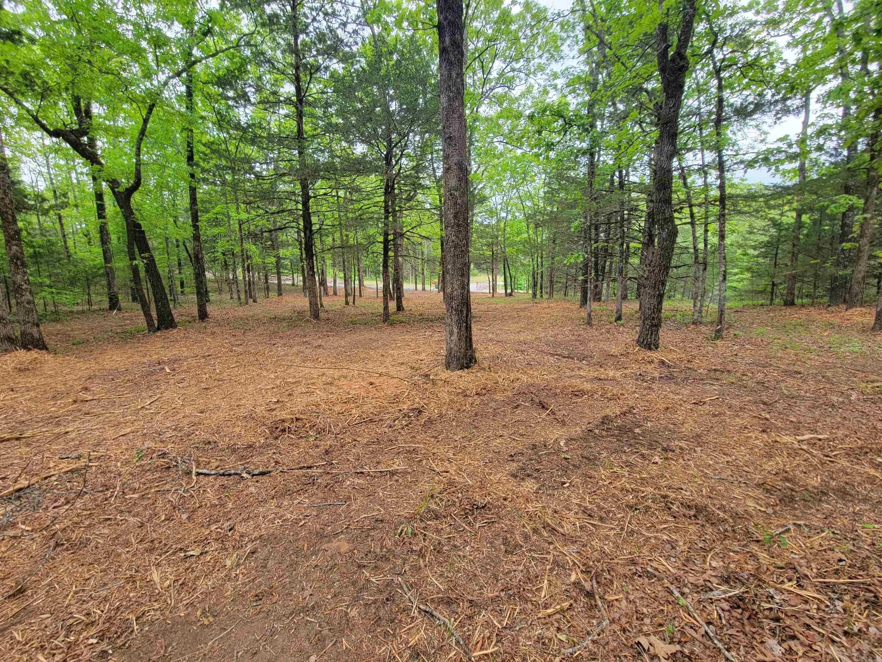 Property at 00  Mcnew cemetery road - Image 1