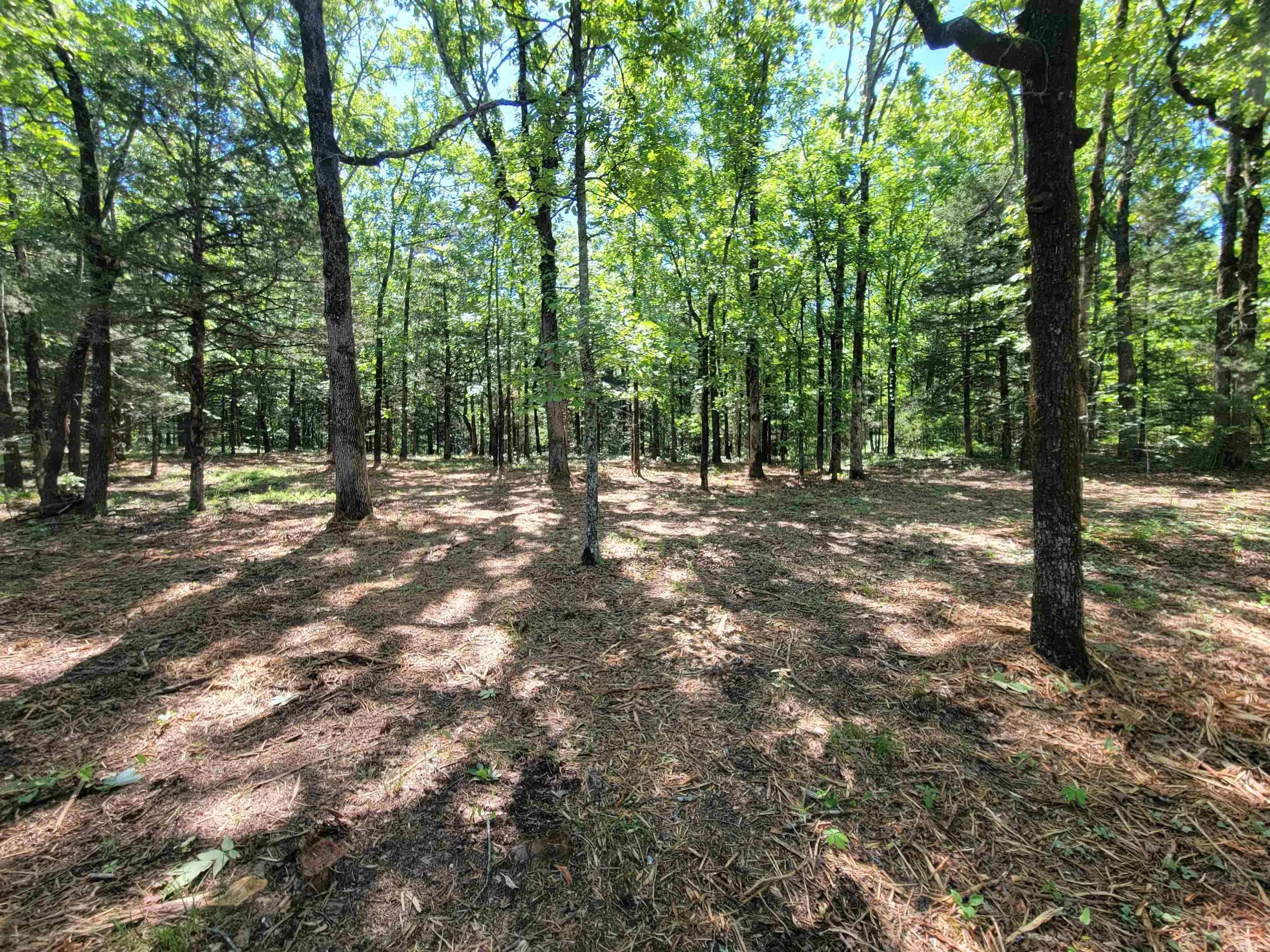 Property at 00  Mcnew cemetery road - Image 12