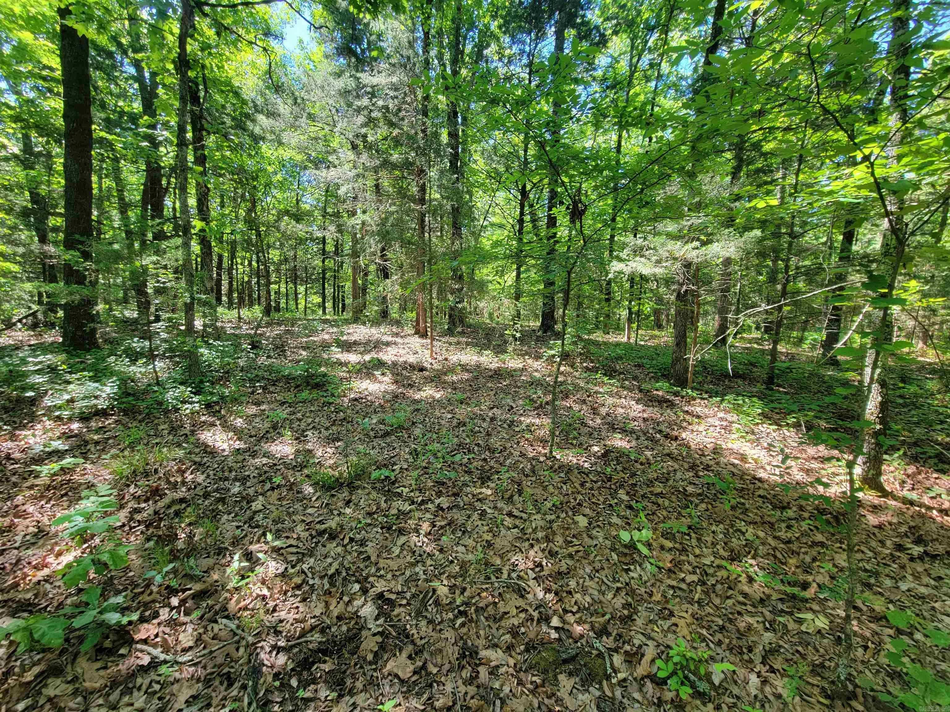 Property at 00  Mcnew cemetery road - Image 14