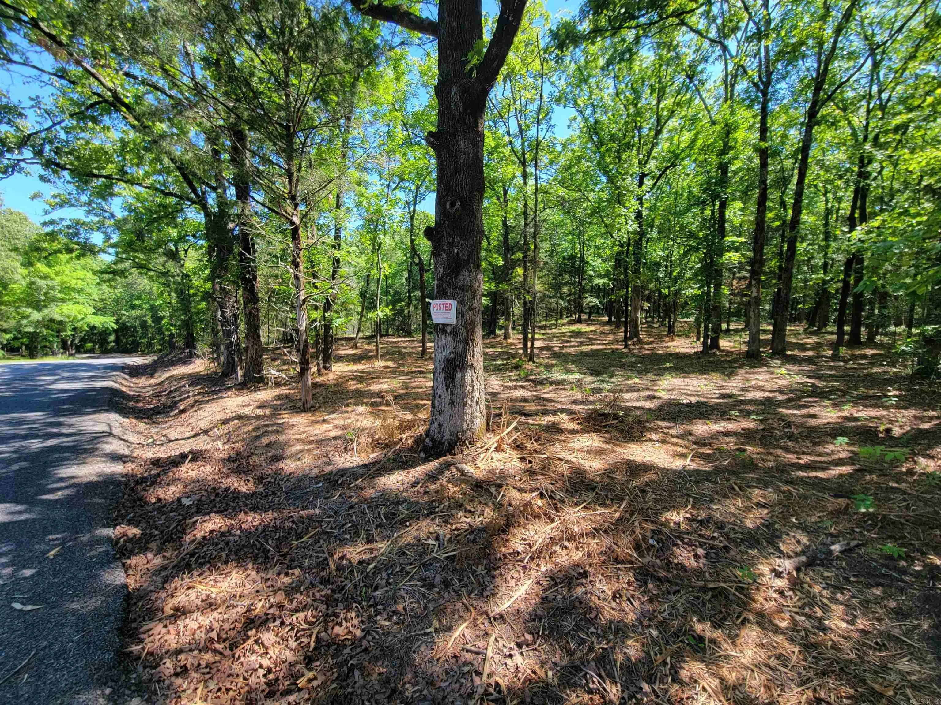 Property at 00  Mcnew cemetery road - Image 3