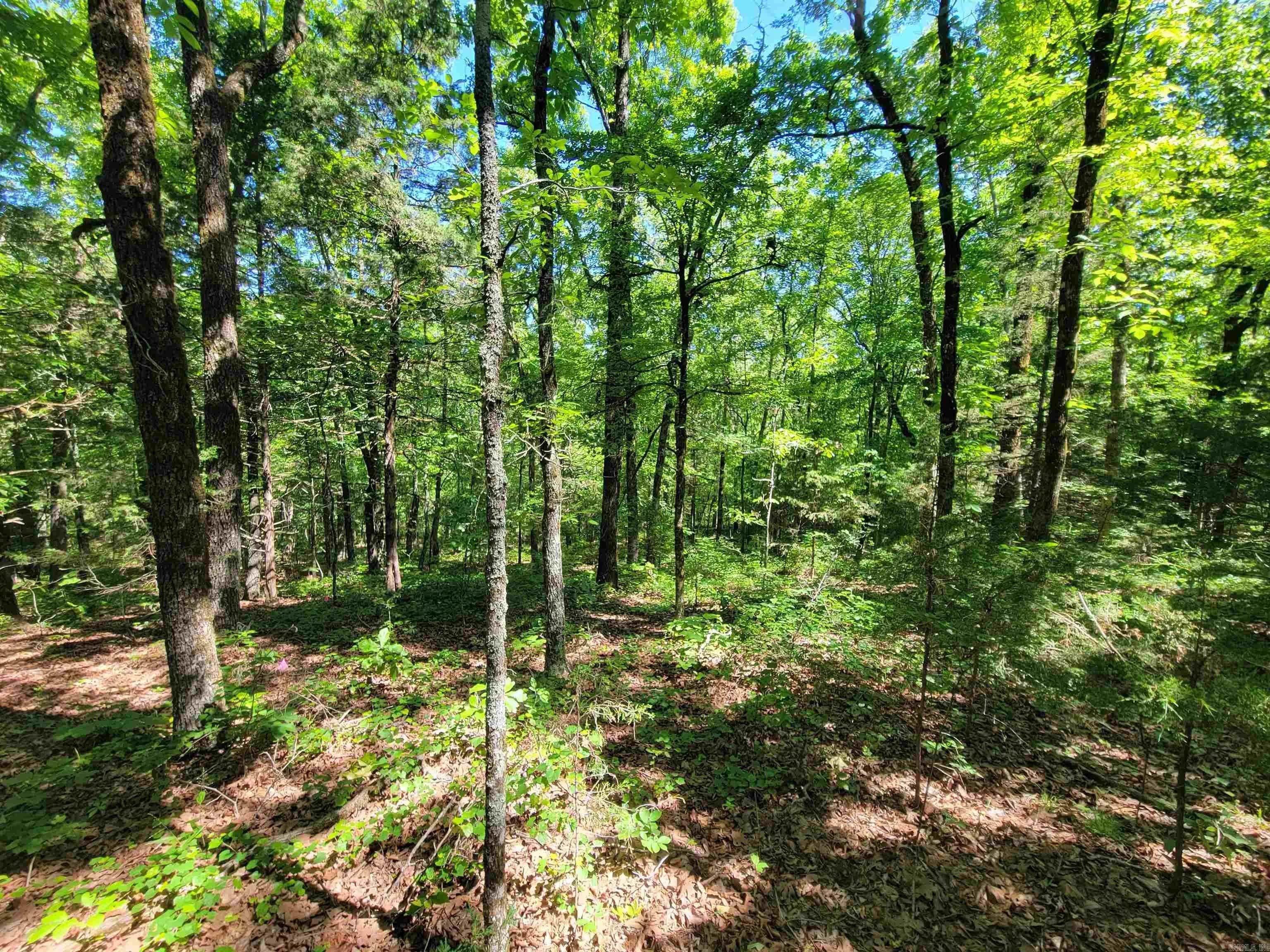 Property at 00  Mcnew cemetery road - Image 10