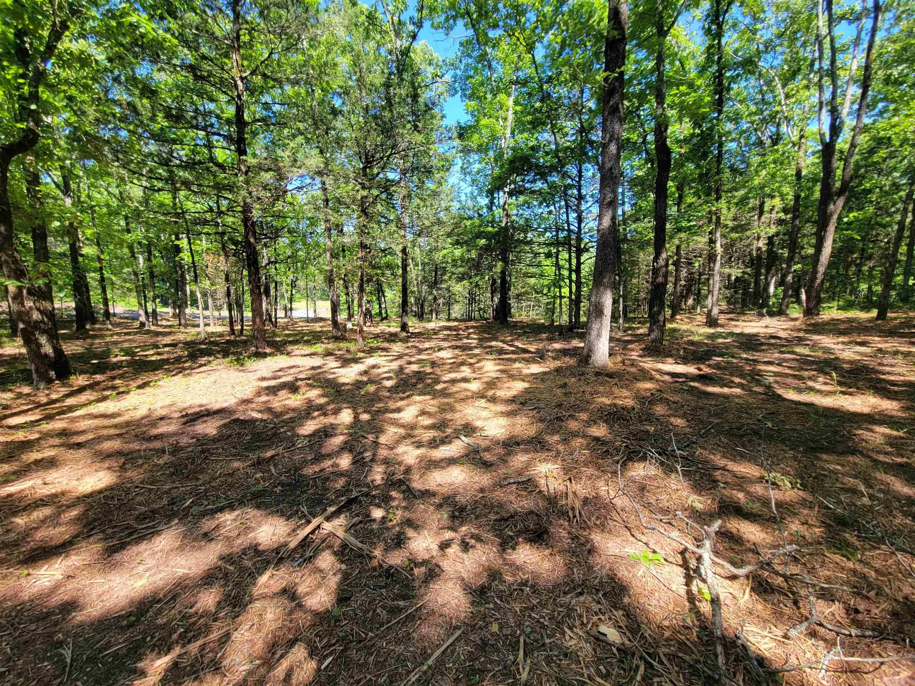 Property at 00  Mcnew cemetery road - Image 13