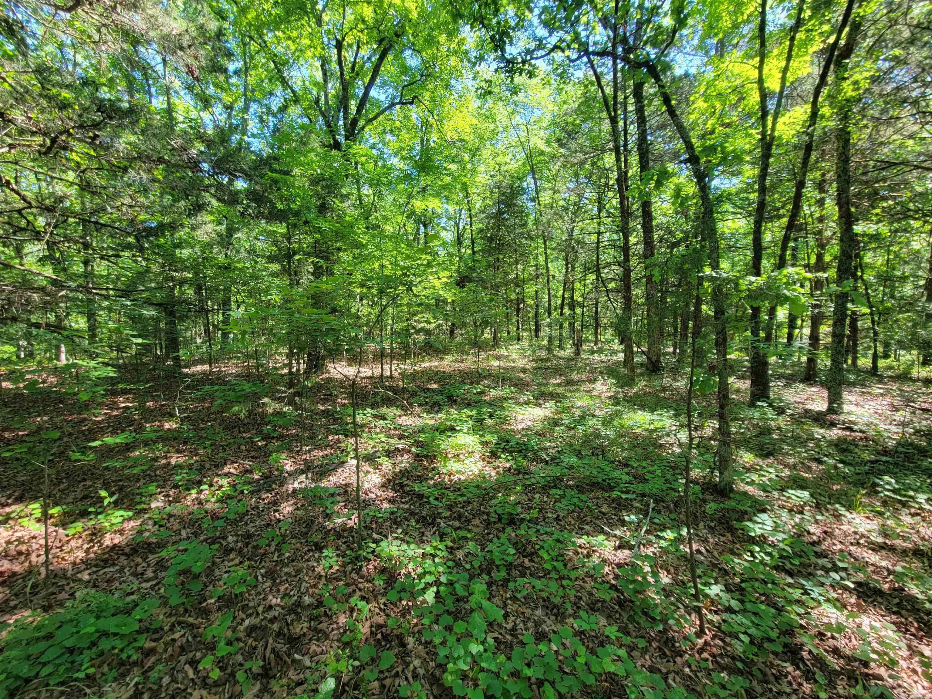 Property at 00  Mcnew cemetery road - Image 9