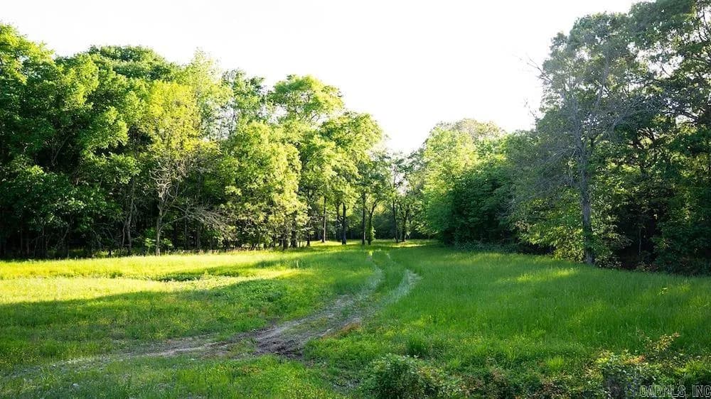 Property at Cypress lake road - Image 17