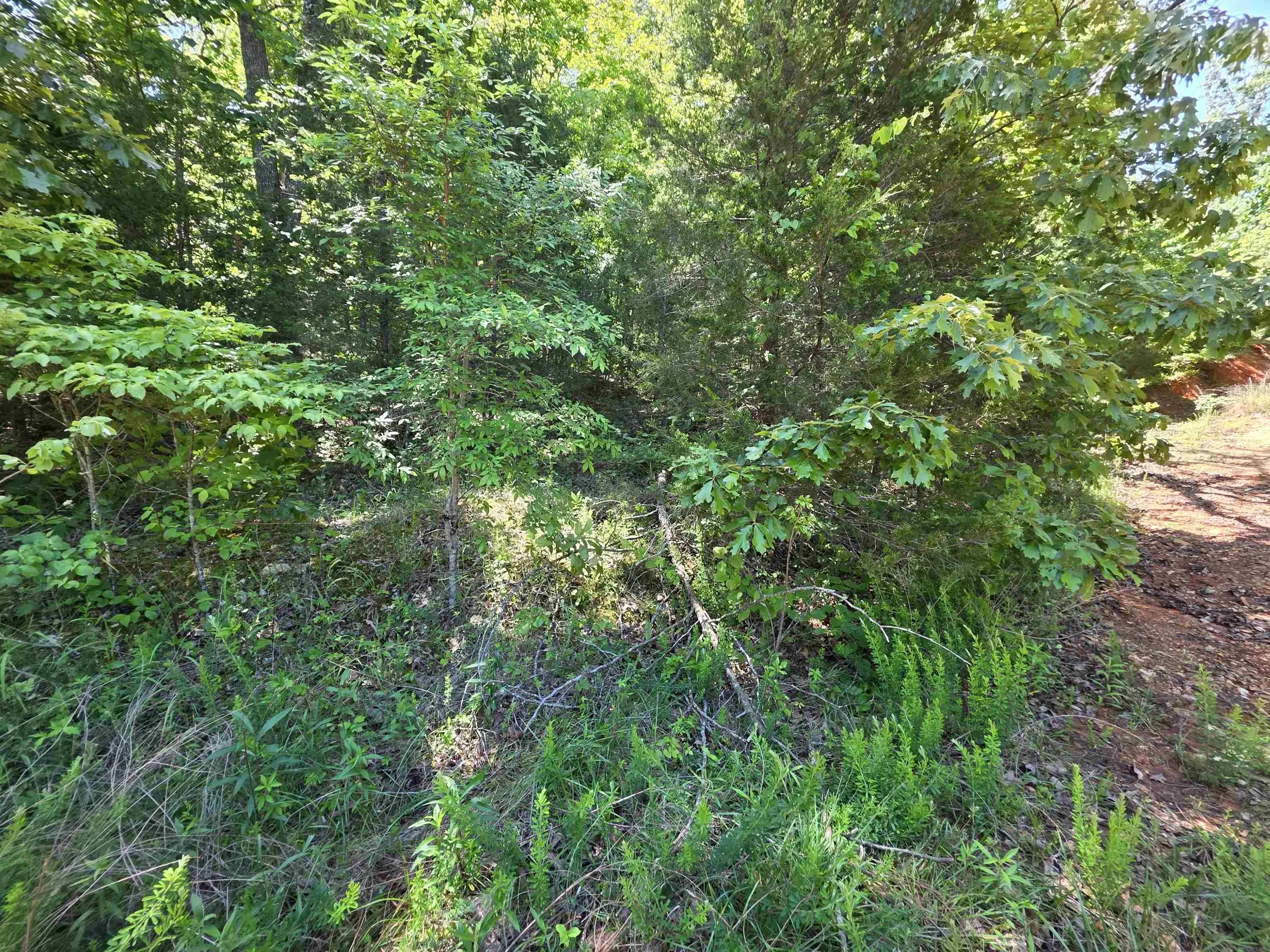 Property at L43, 44  White horse mountain - Image 21