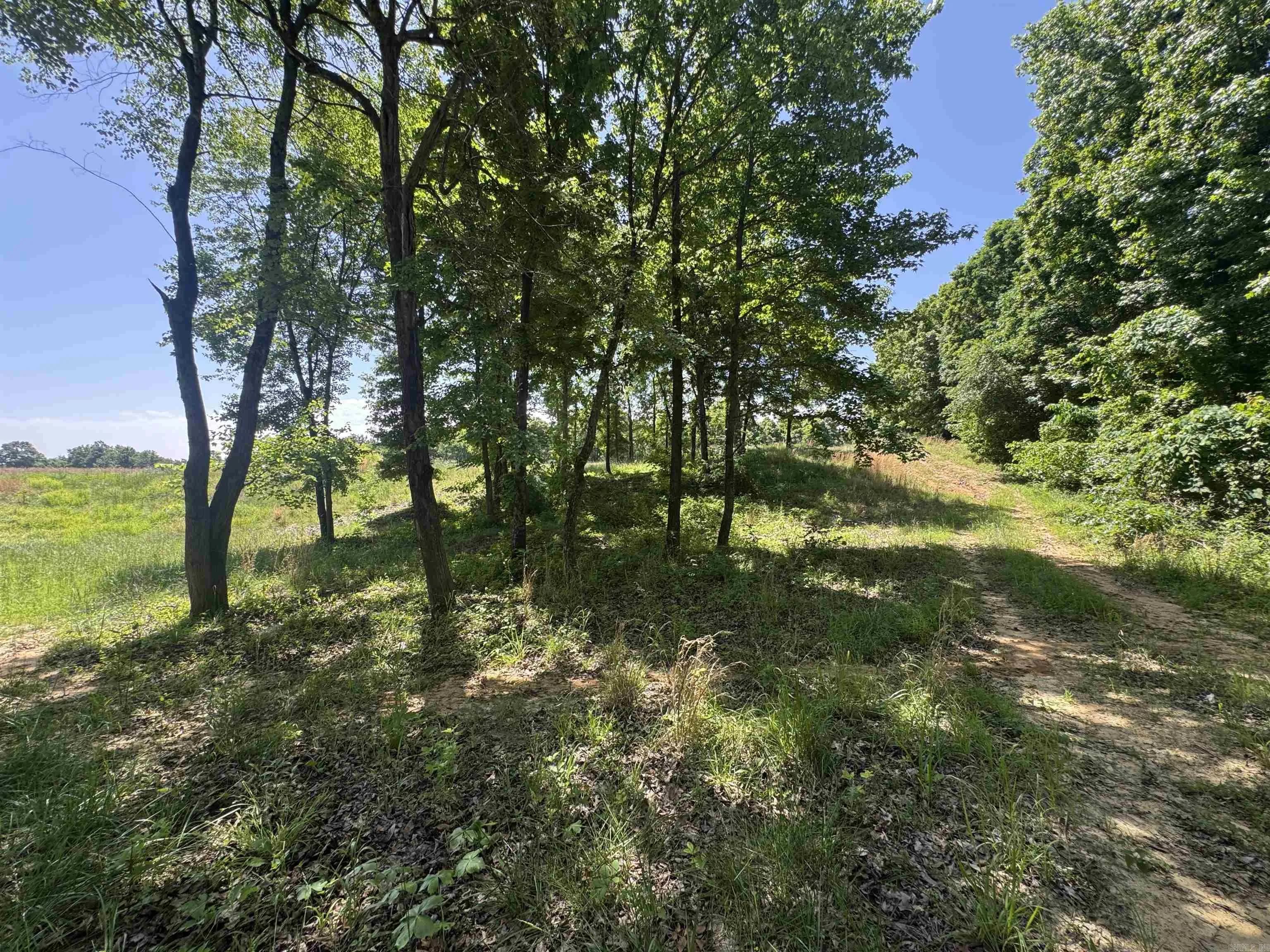 Property at 1096  Cr 472 - Image 15