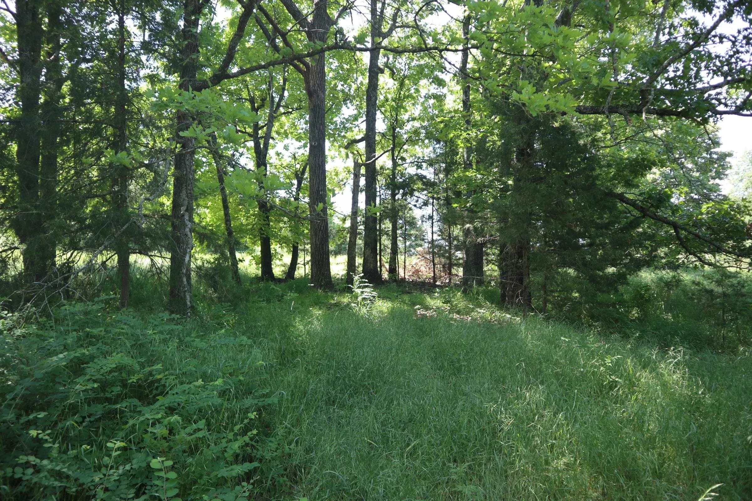 Property at 3863  Browns chapel rd - Image 37