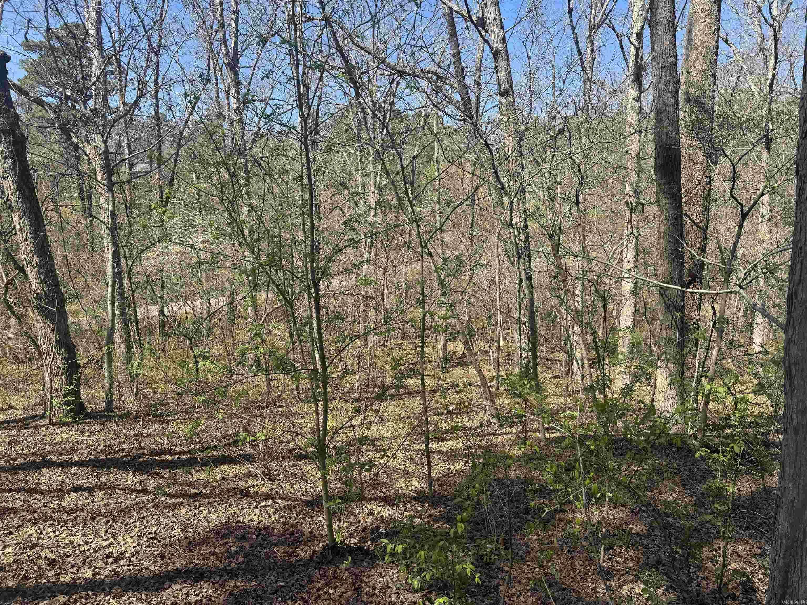 Property at 009-00062-000  Hwy 177 - Image 3