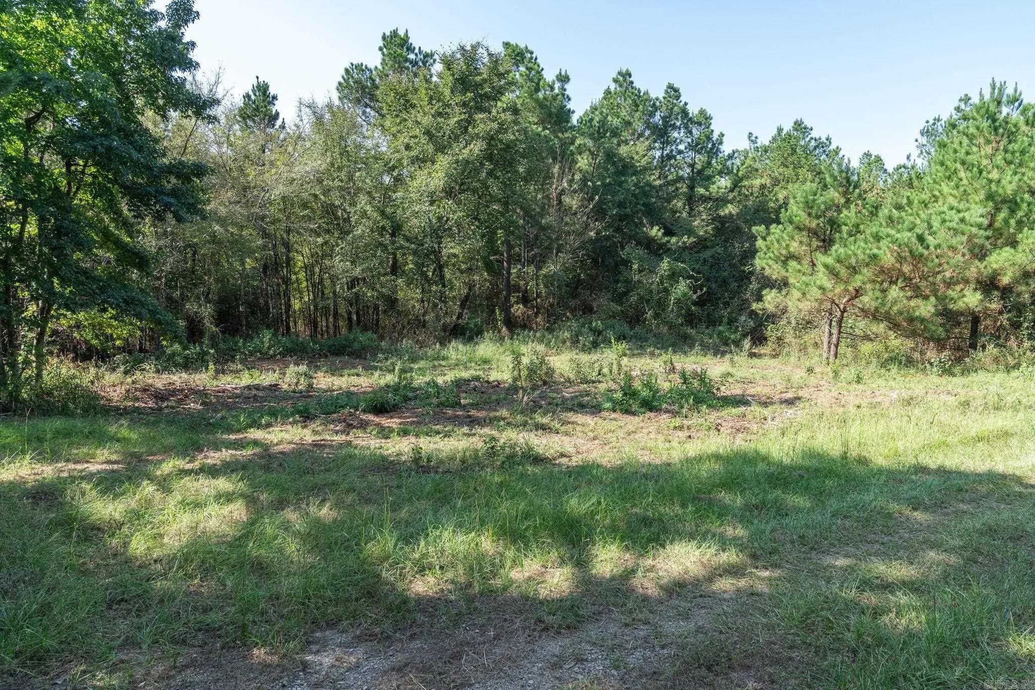 Property at 3024  Red bench rd - Image 13
