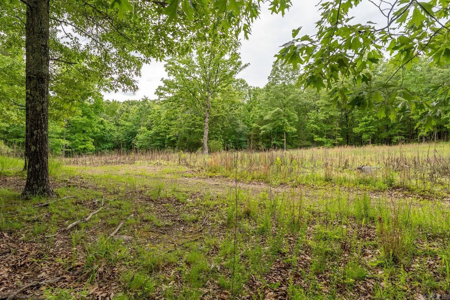 Property at 14782  County road 7990 - Image 17
