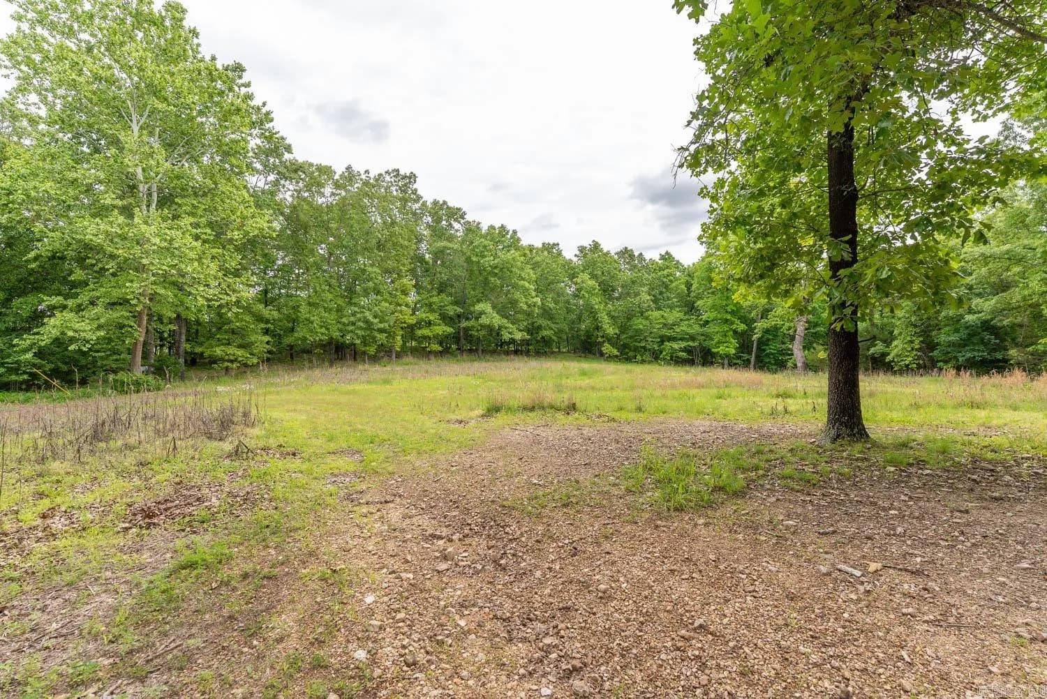 Property at 14782  County road 7990 - Image 13