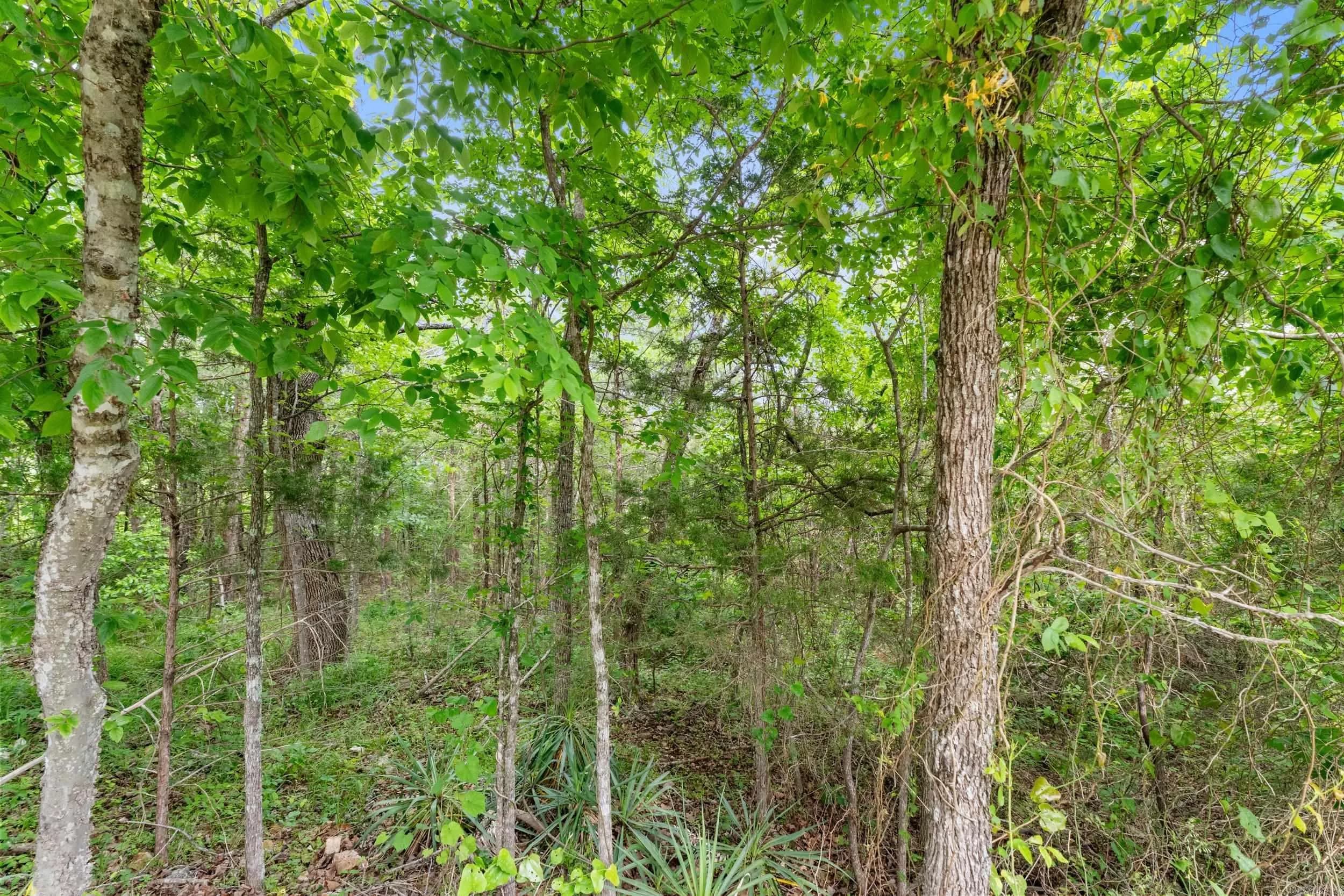 Property at Lot 115 & 116  Greenhaven - Image 20