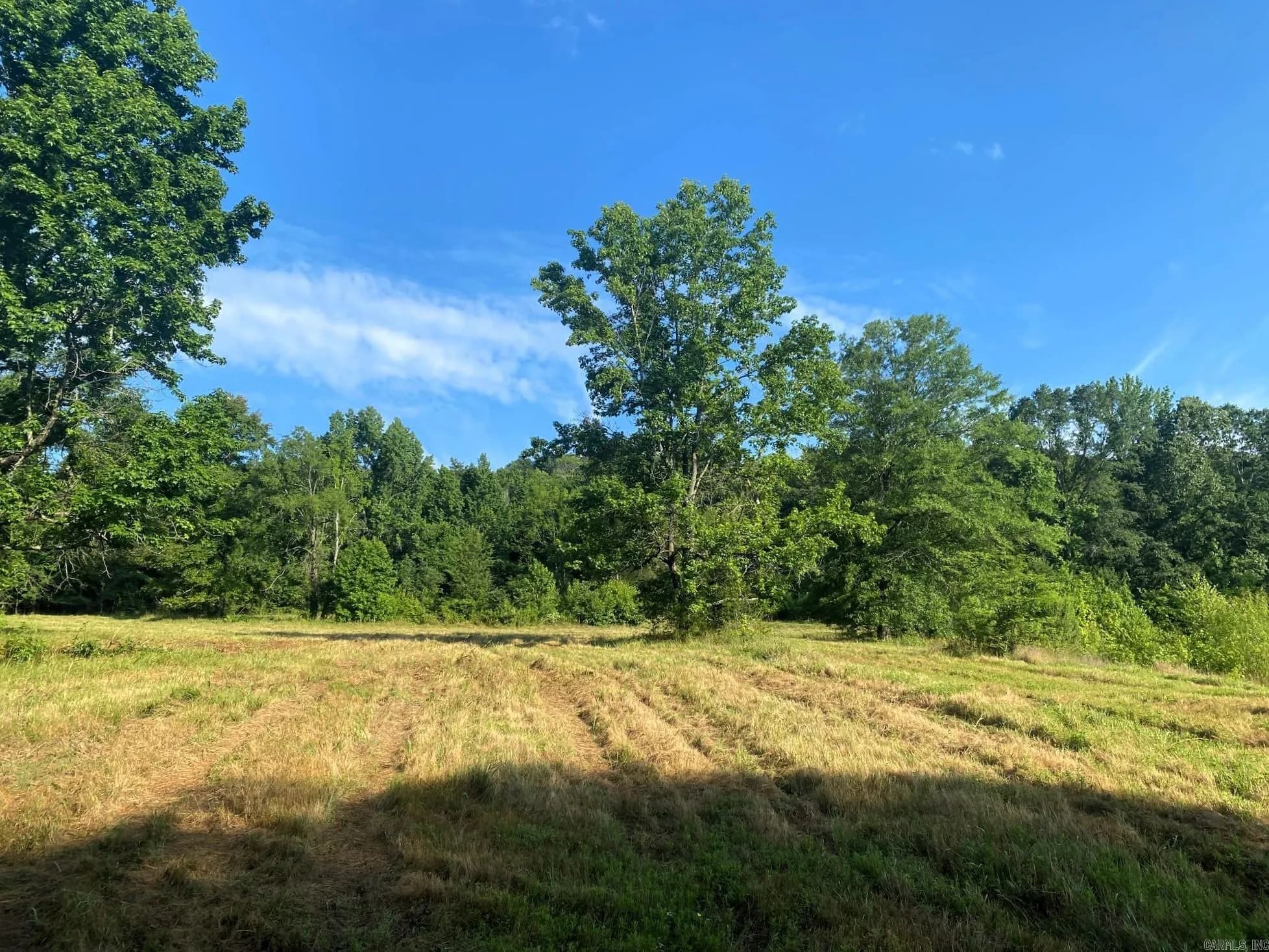 Property at 000  Artesia - Image 4