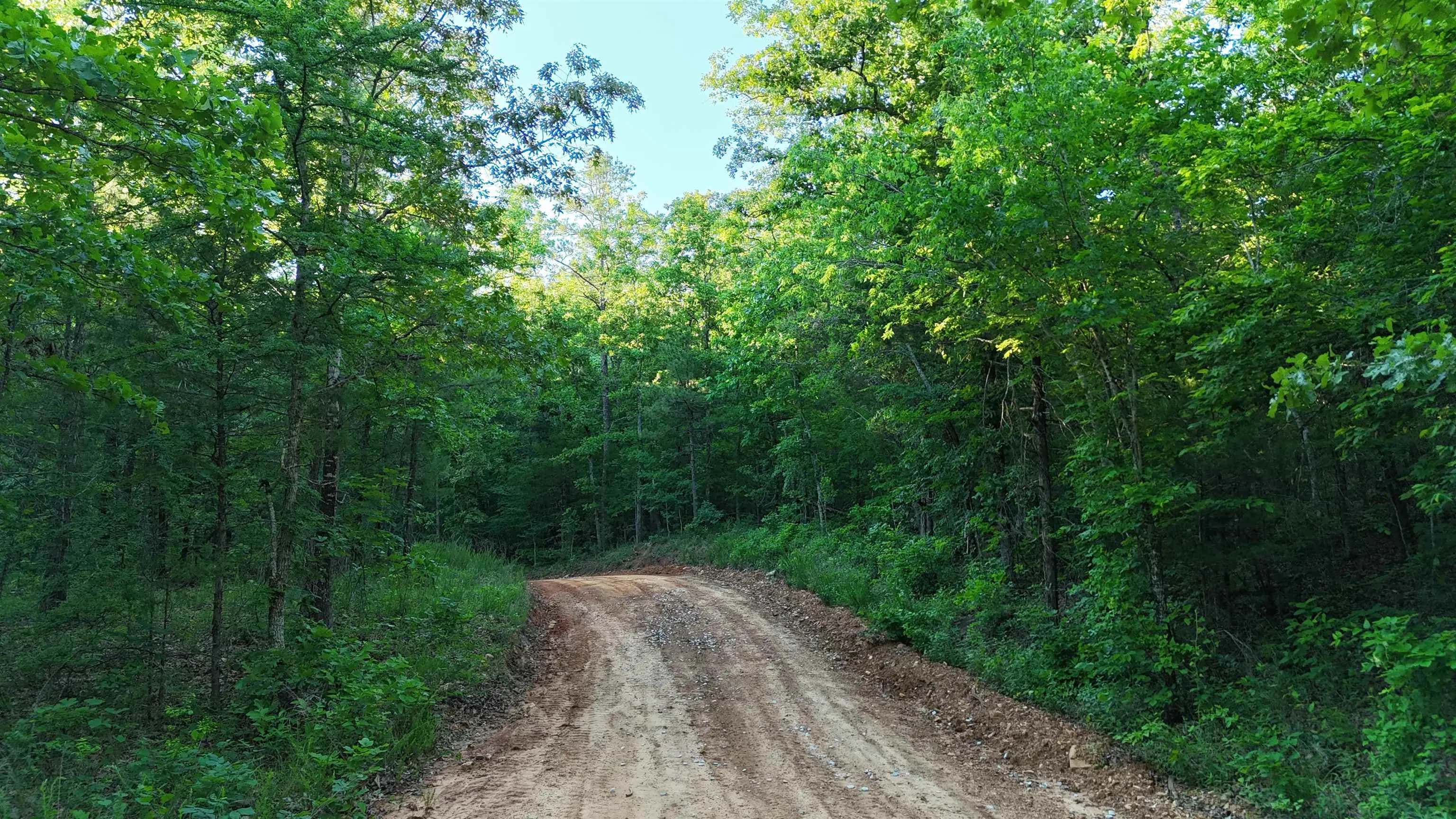 Property at Lot 8 and 9  Ripplin shoals - Image 8