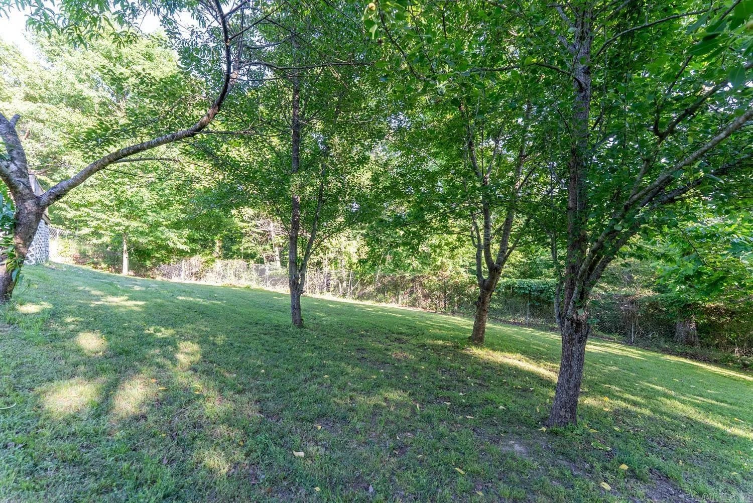 Property at 300  Chinn springs - Image 35