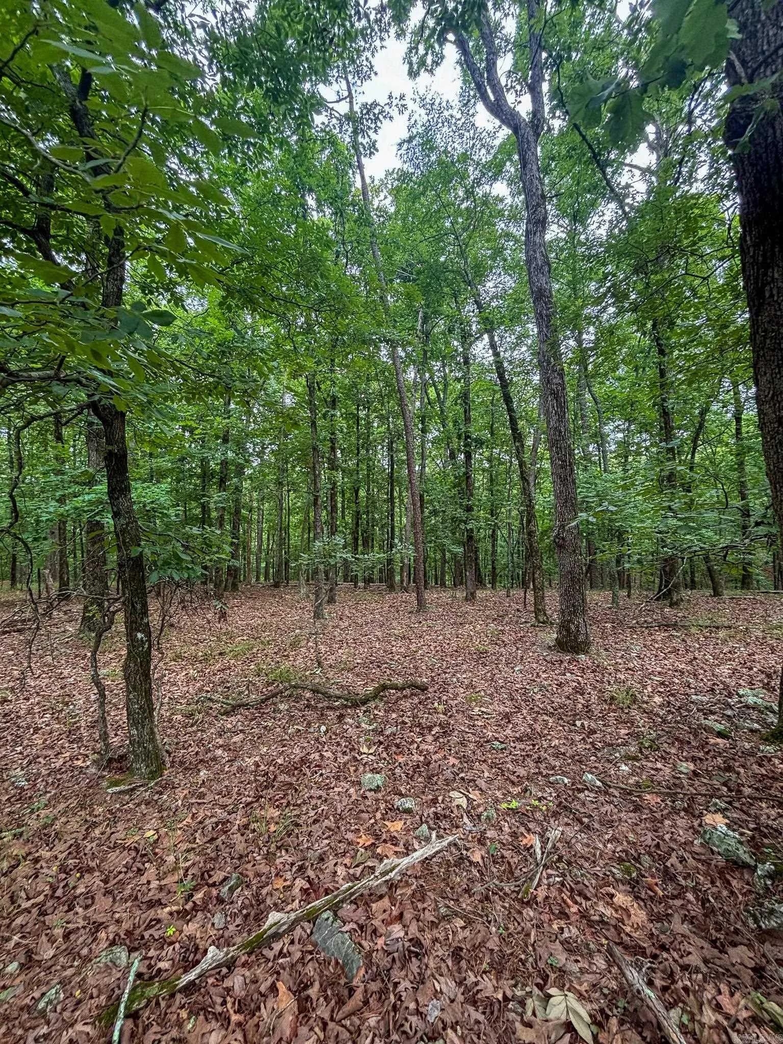 Property at 11  Hillside - Image 6