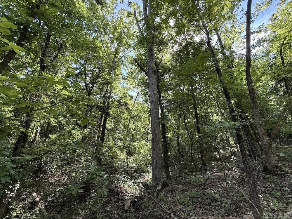 Property at Cr 6011 - Image 2