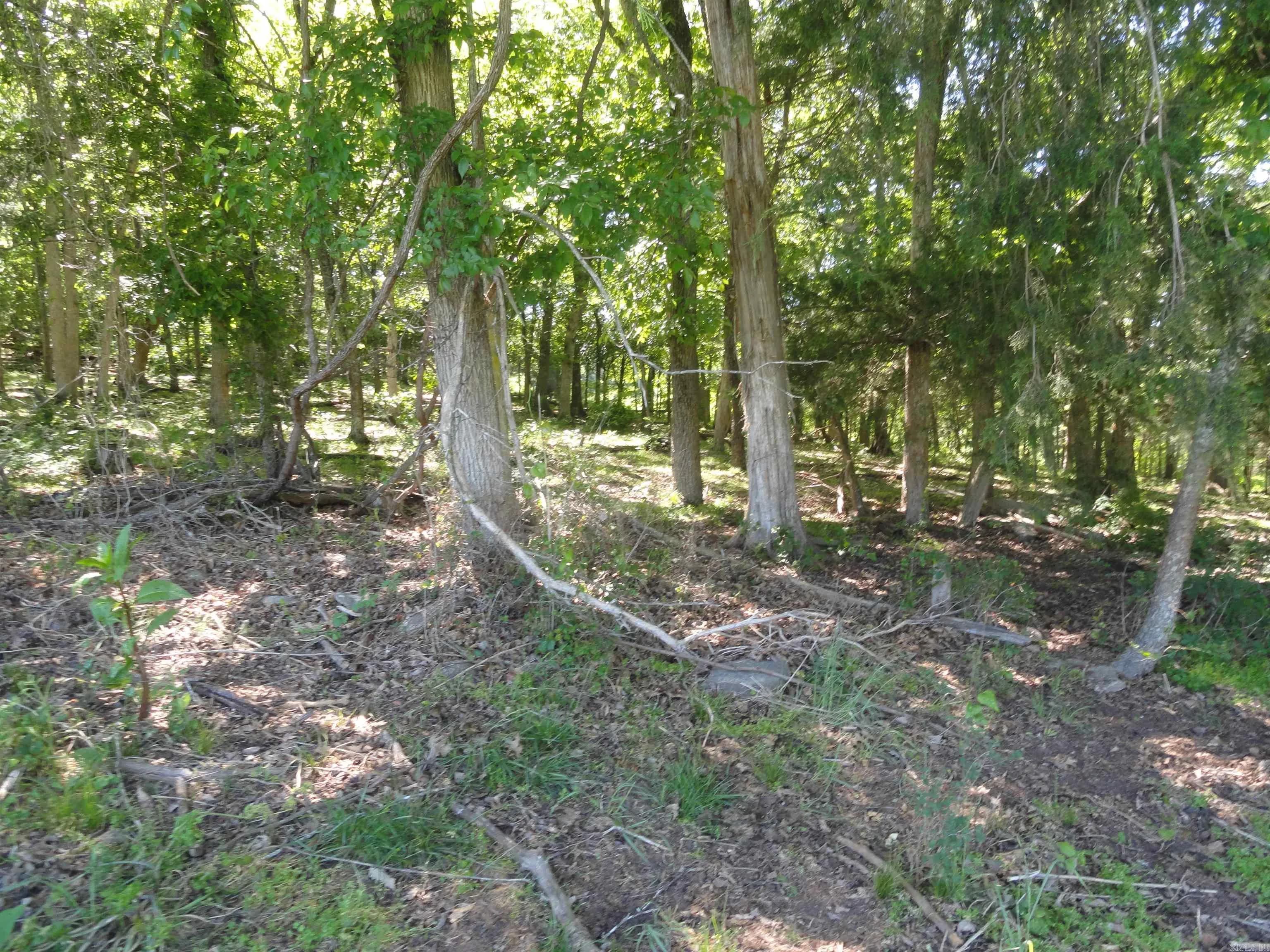 Property at 967 E Hwy 333 - Image 9
