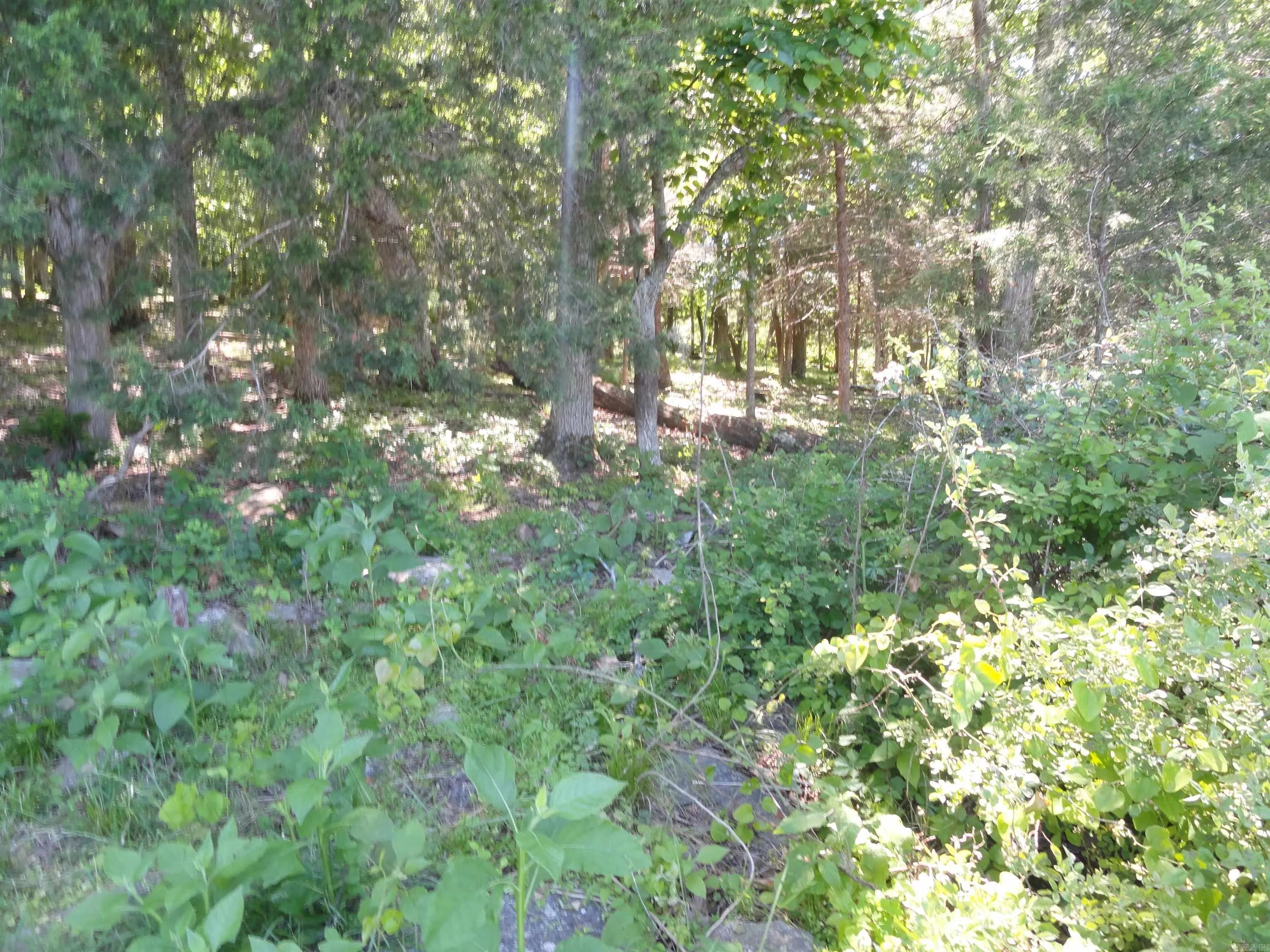 Property at 967 E Hwy 333 - Image 7