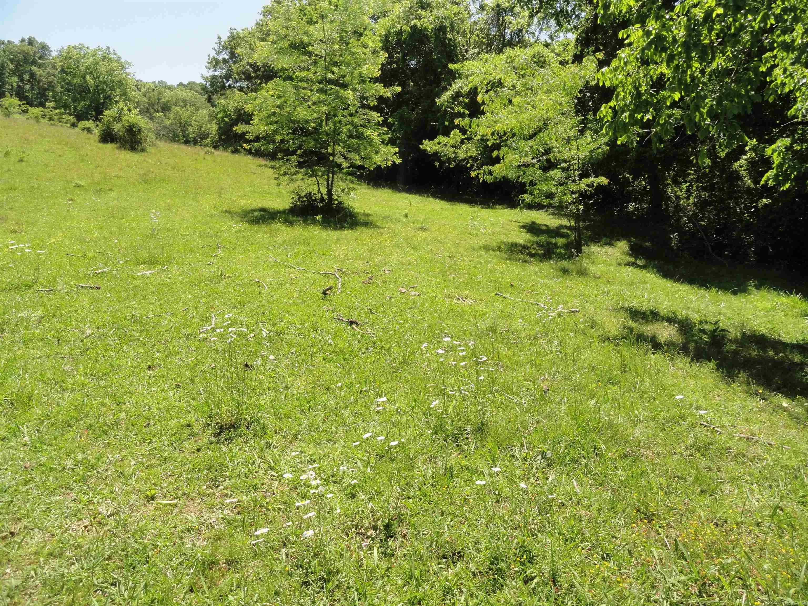 Property at 967 E Hwy 333 - Image 4