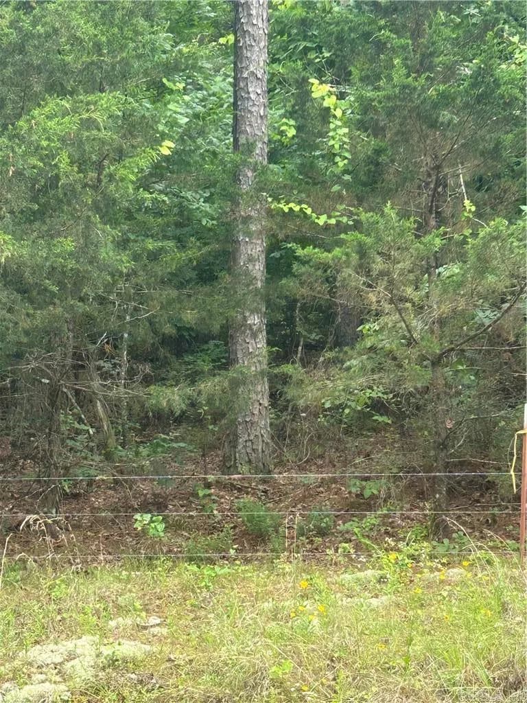 Property at 000  Wildcat hollow - Image 6