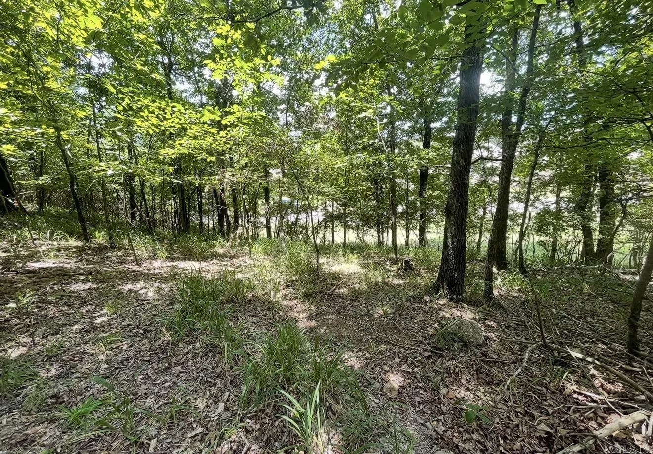 Property at Lot #36  Saratoga - Image 2