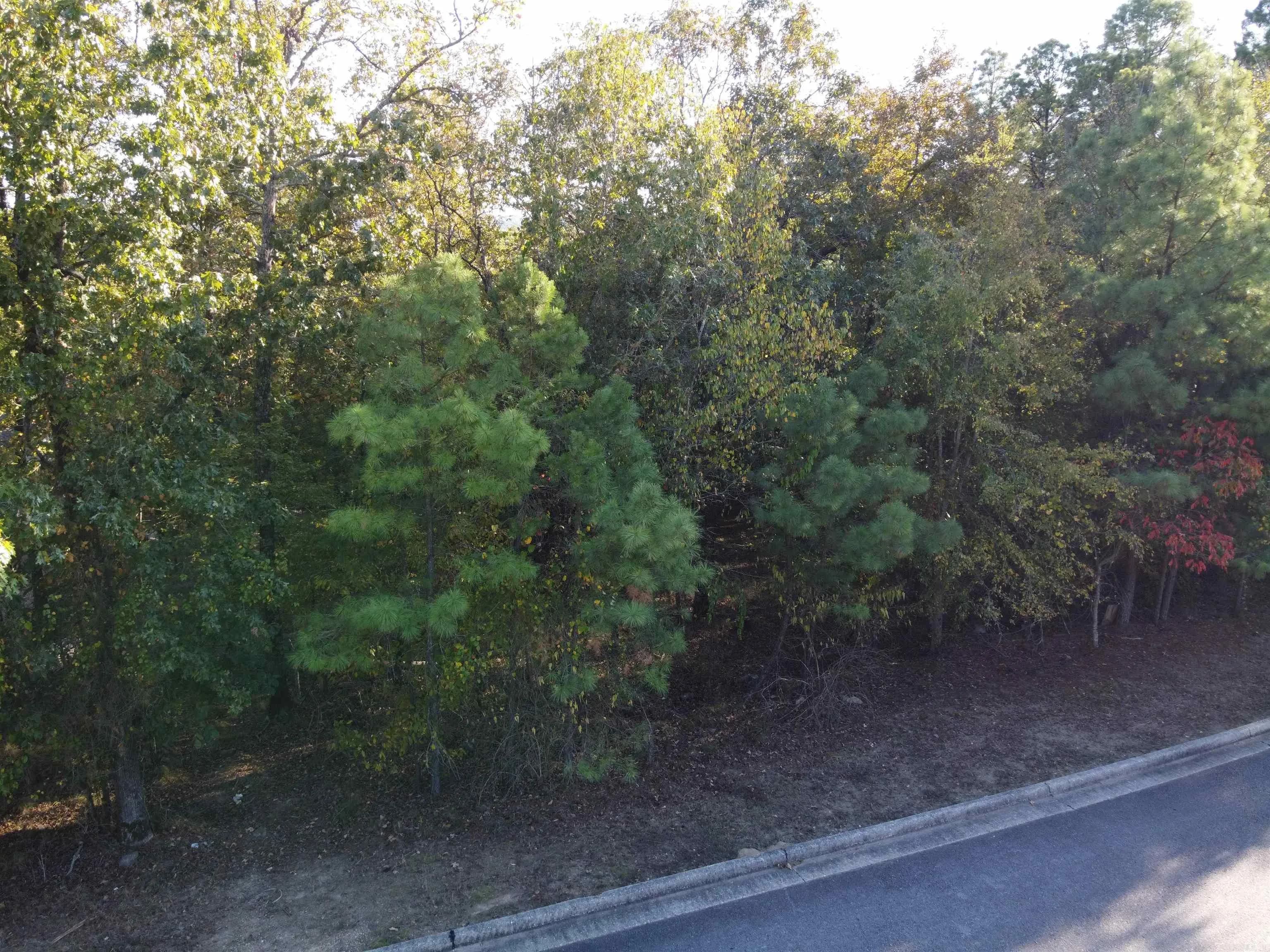 Property at 000  Dellmere - Image 4