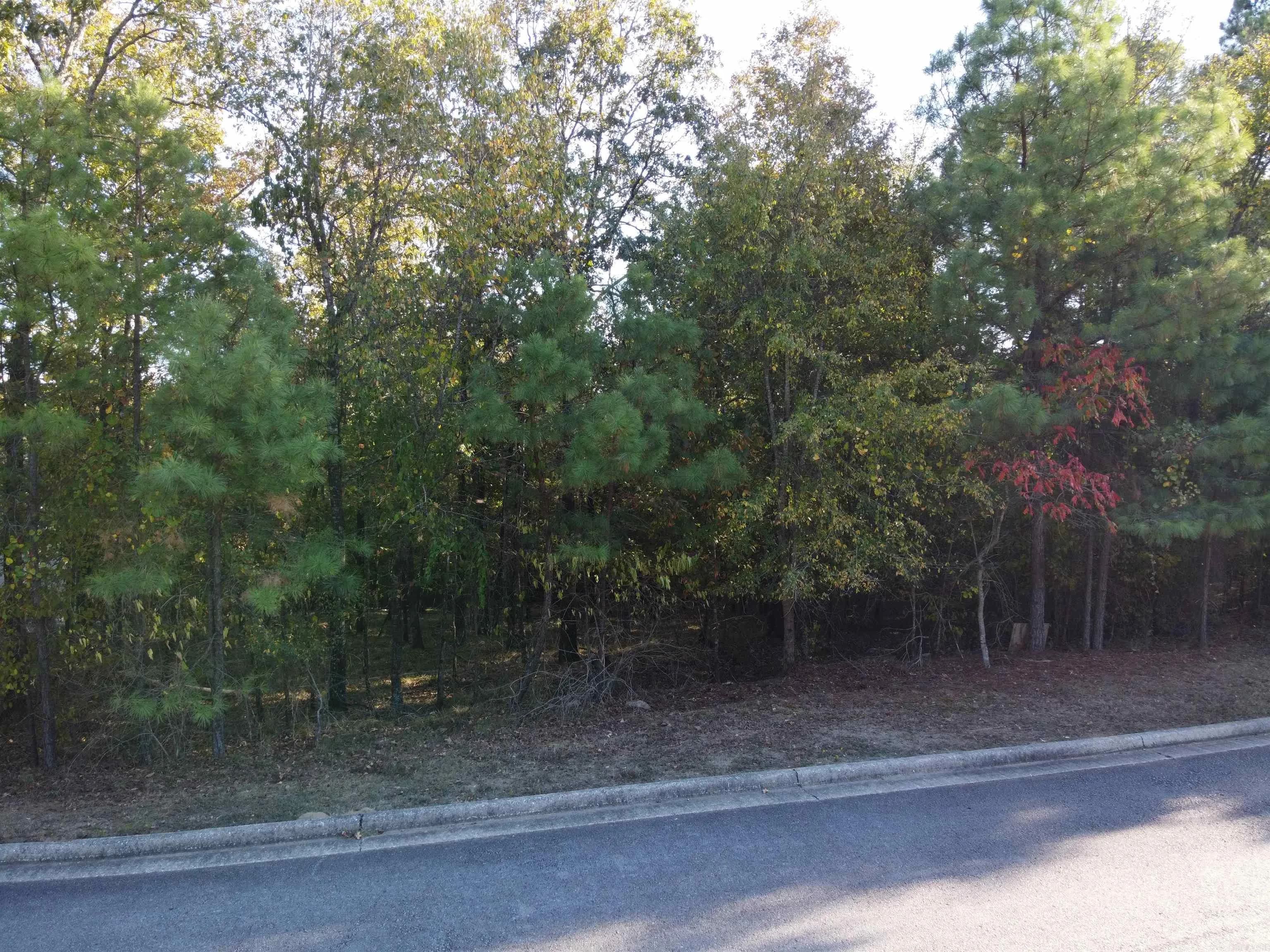 Property at 000  Dellmere - Image 2