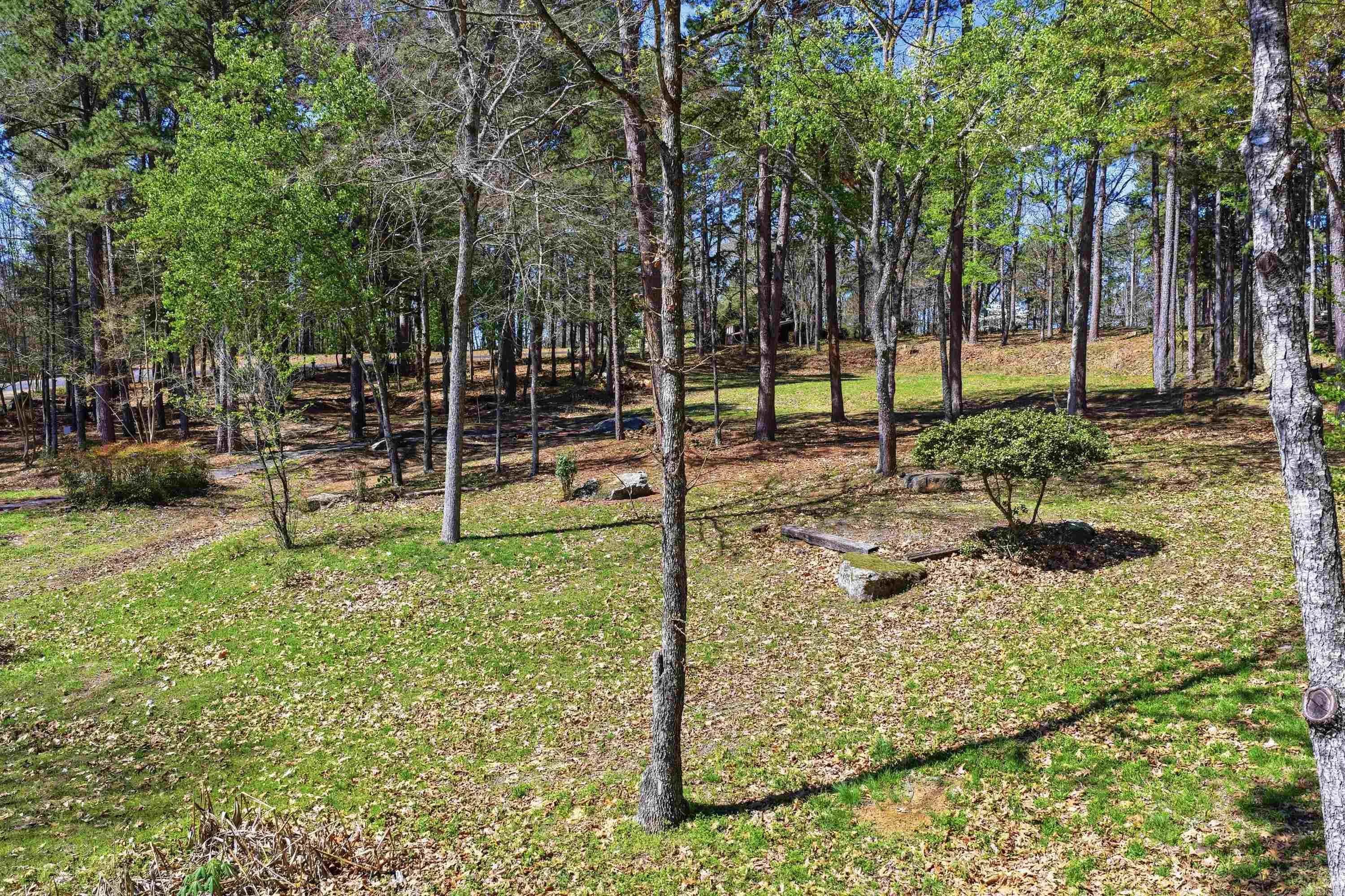 Property at 1155  Dave creek tract 1  Tract 1 - Image 7
