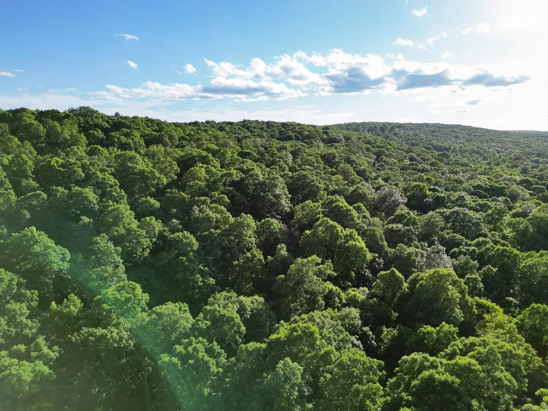 Property at 0000  Whiskey creek - Image 4