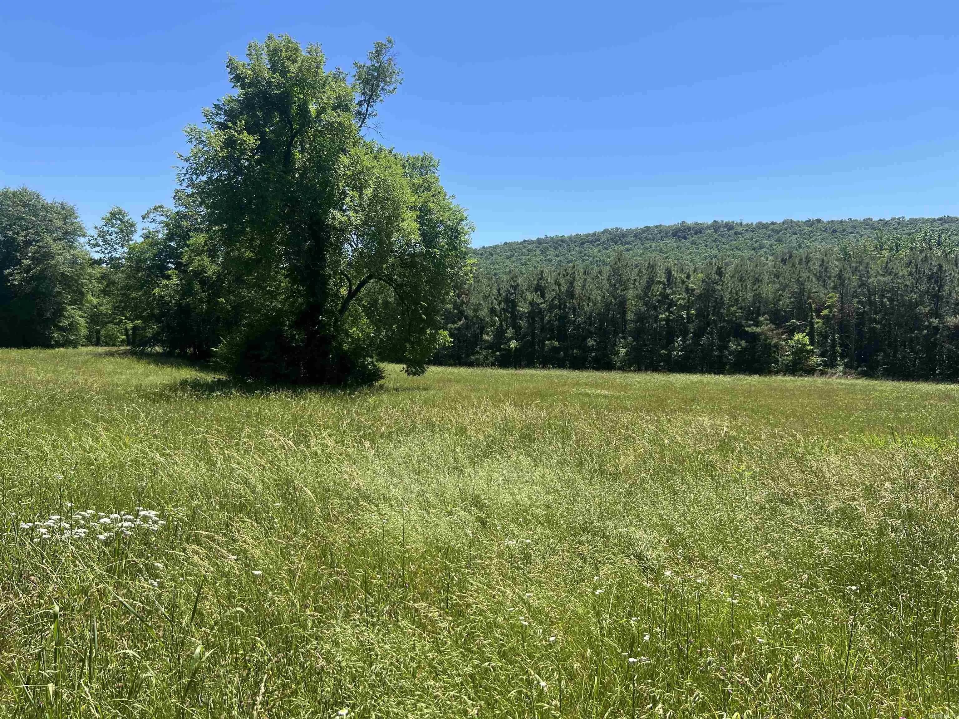 Property at 13535  Harkey valley - Image 2