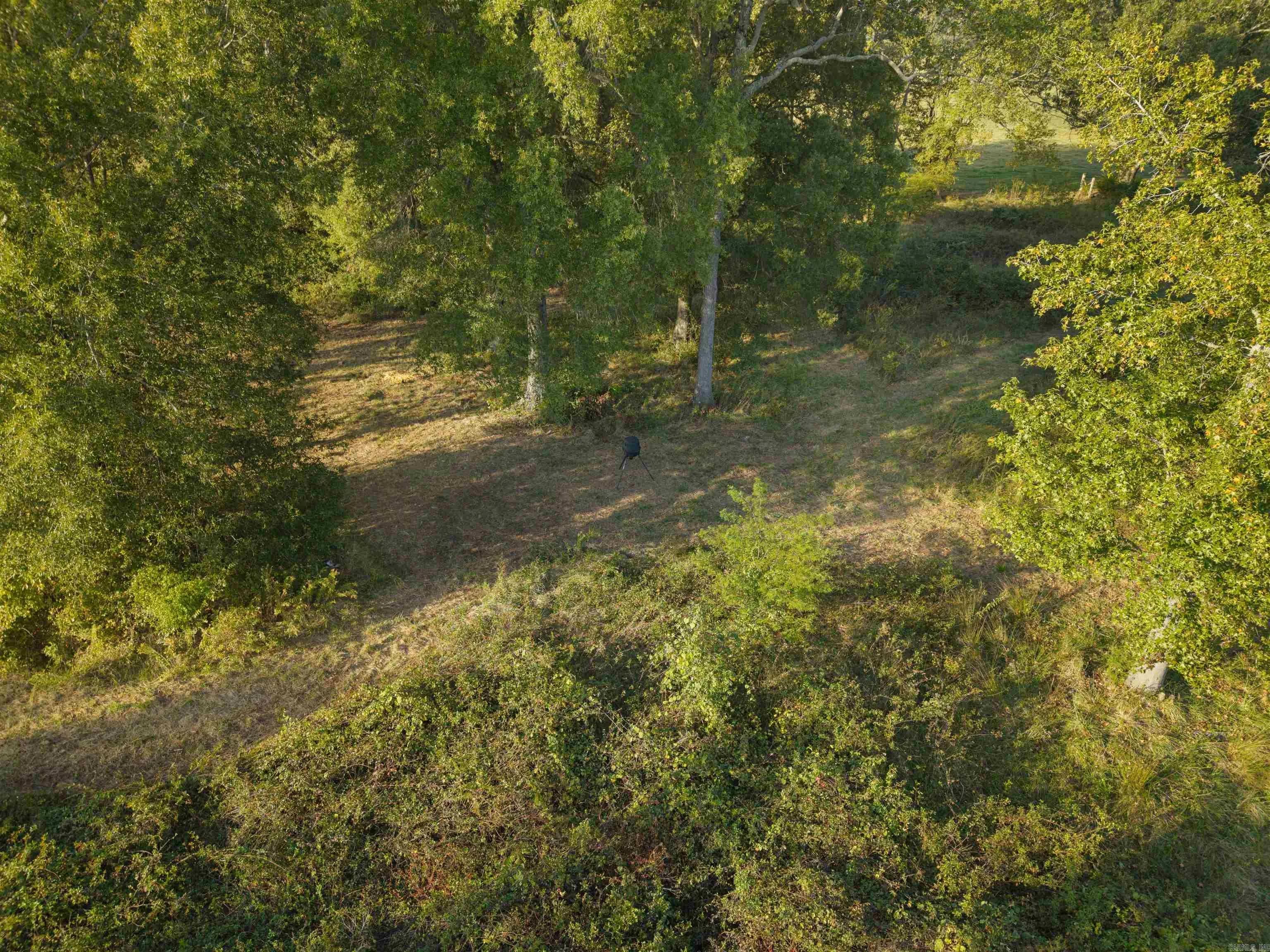 Property at 200  Matthews - Image 15